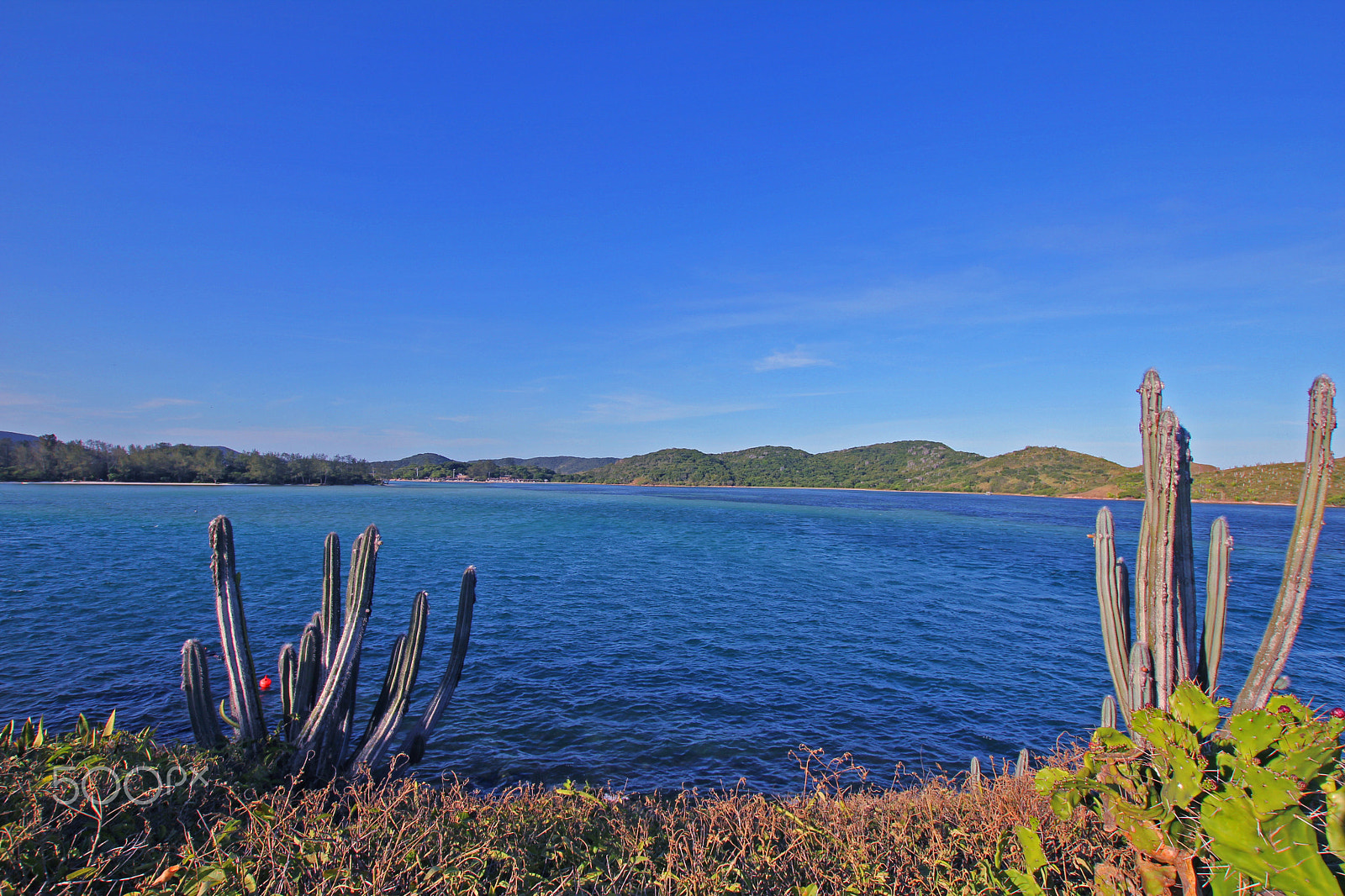 Sigma 10-20mm F3.5 EX DC HSM sample photo. Landscape photography