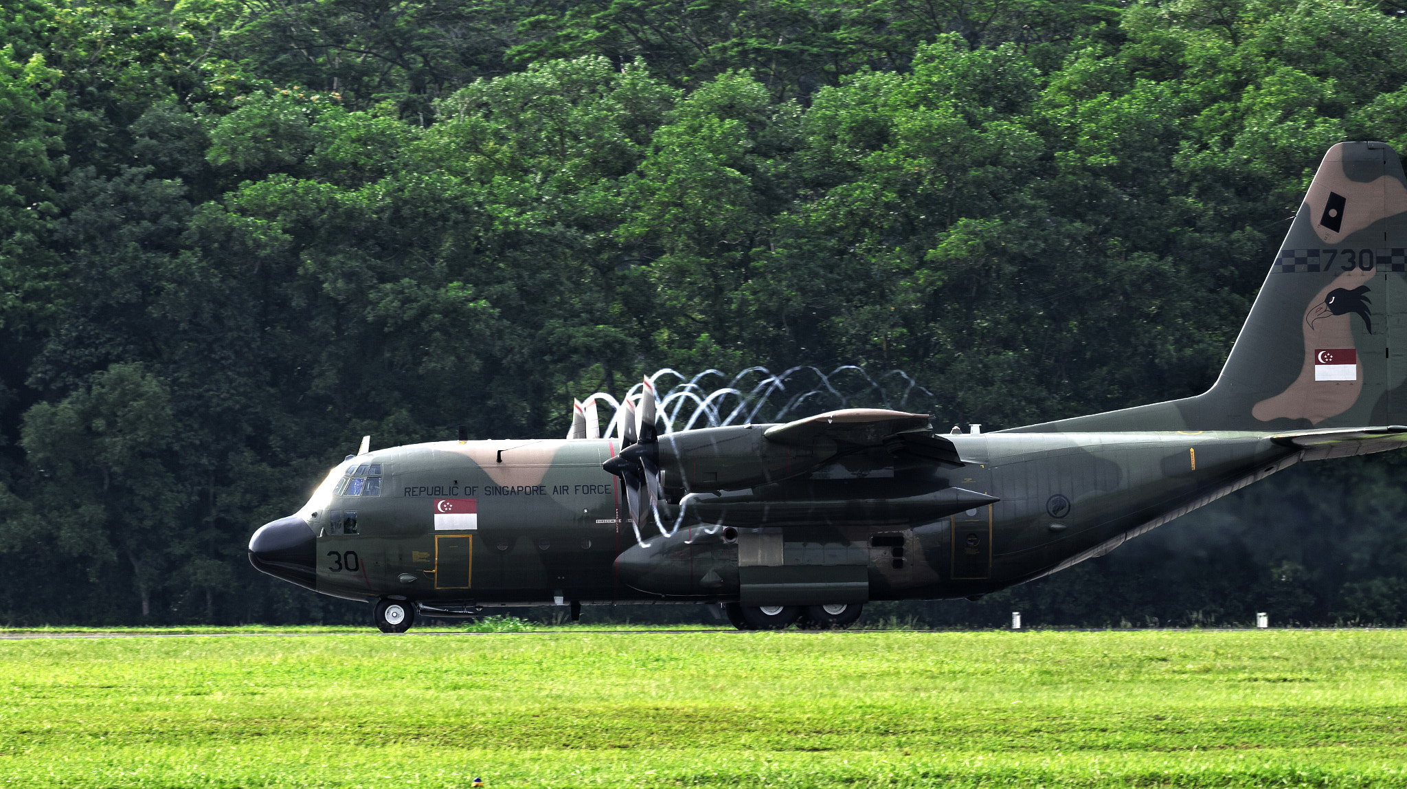 Nikon AF-S Nikkor 200-500mm F5.6E ED VR sample photo. Beast... photography