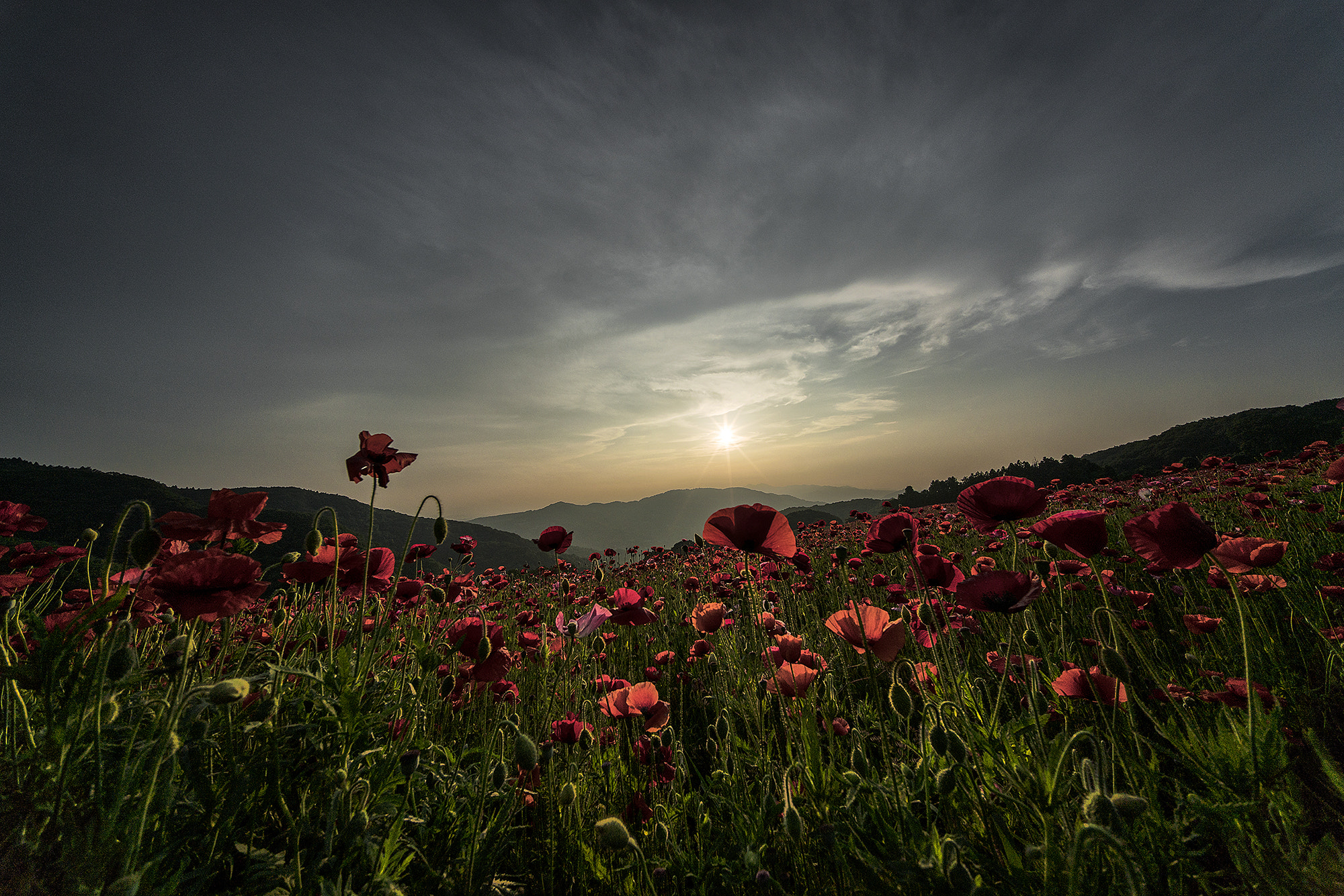 Sony a7R II + Voigtlander HELIAR-HYPER WIDE 10mm F5.6 sample photo. Crepuscule photography