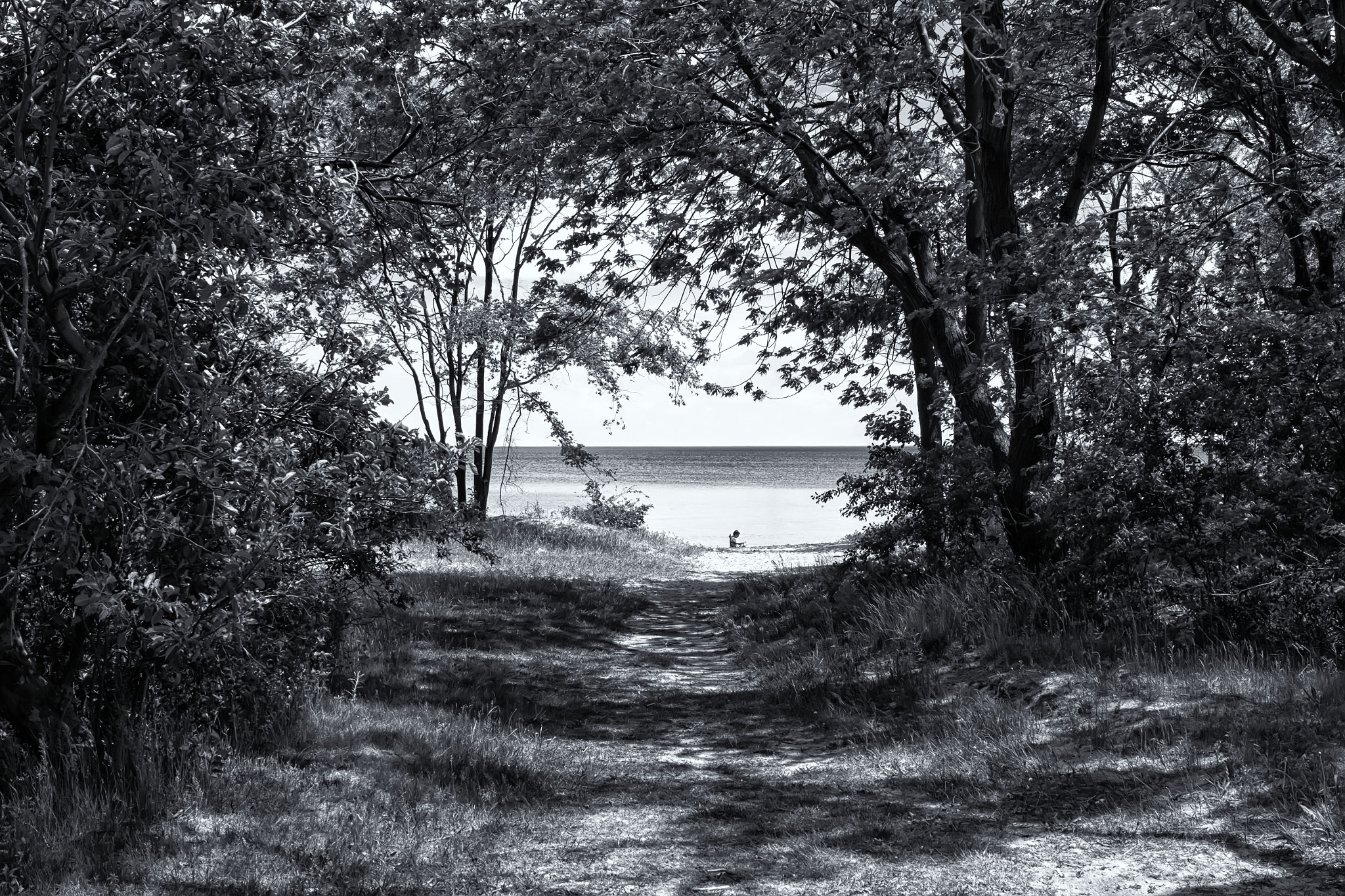 Fujifilm XC 16-50mm F3.5-5.6 OIS sample photo. Burlington beach on. photography