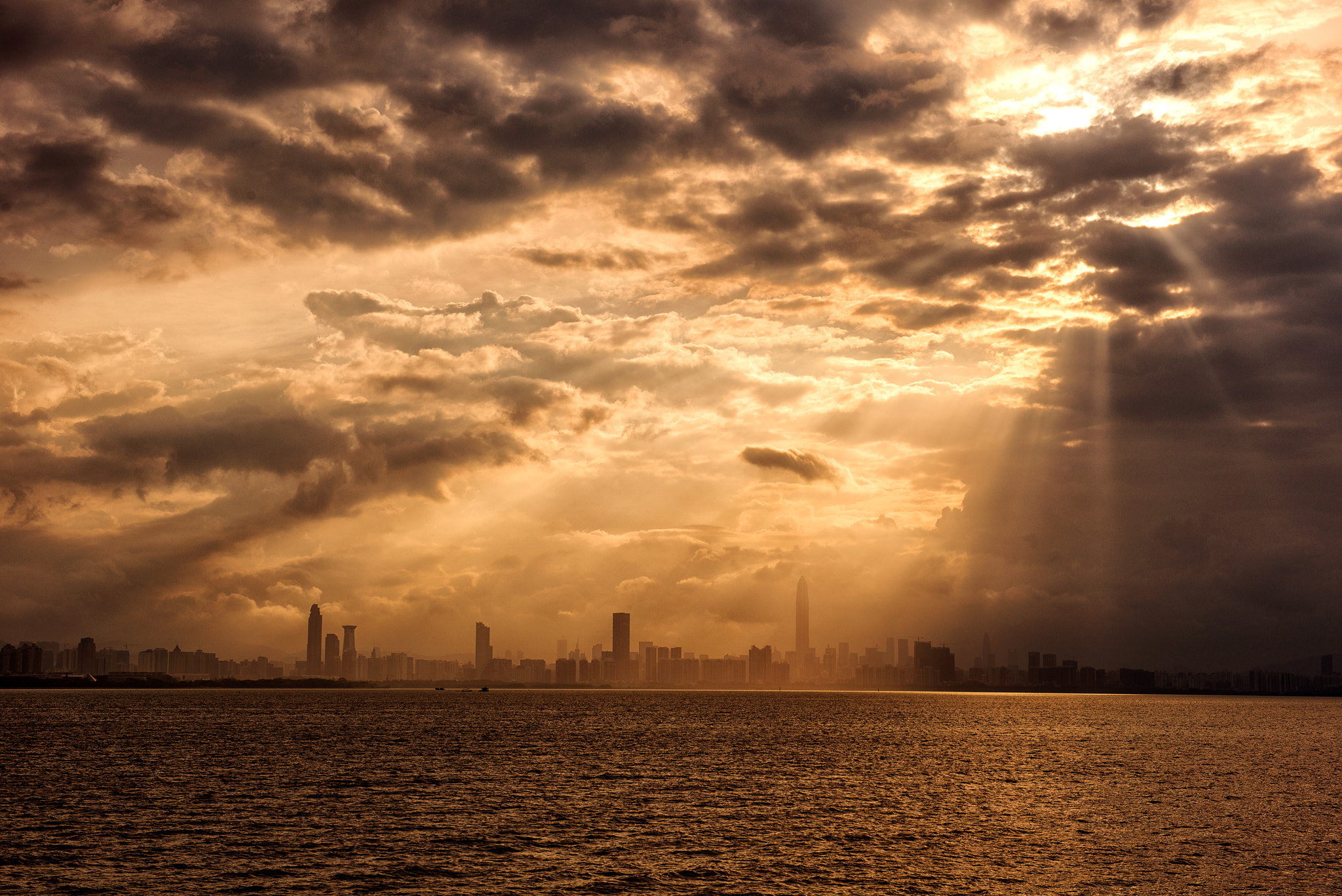 the light of the city