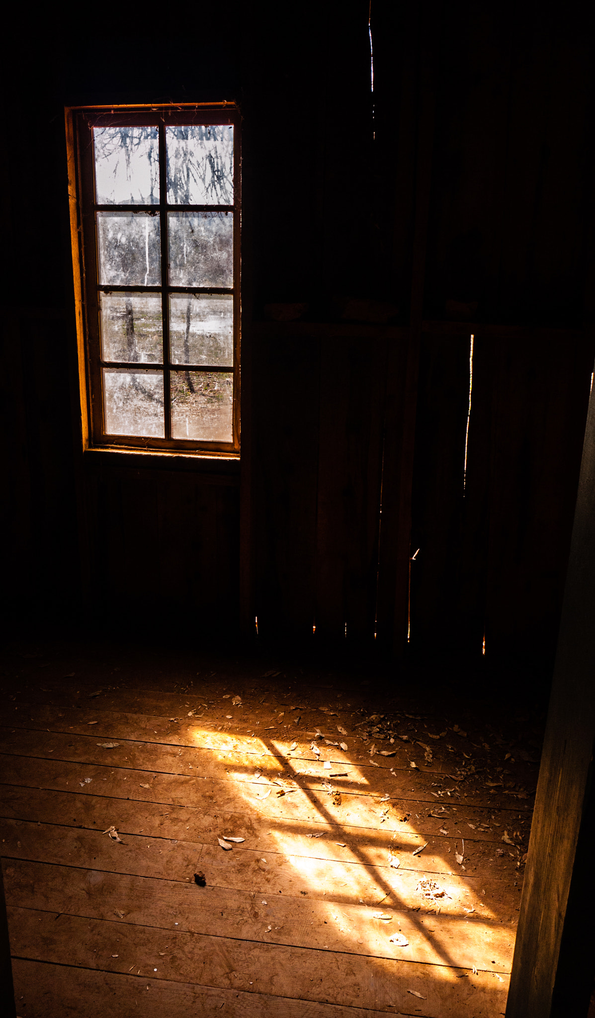 Panasonic Lumix DMC-GF1 sample photo. Echos photography