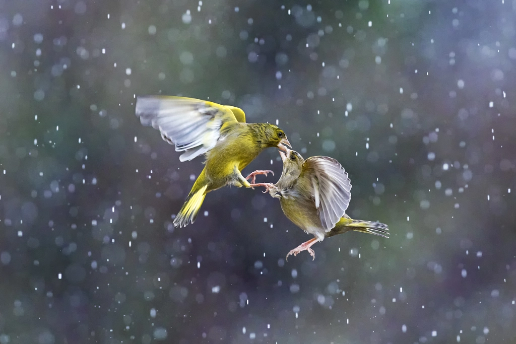 Come to me baby!! by Marco Redaelli on 500px.com