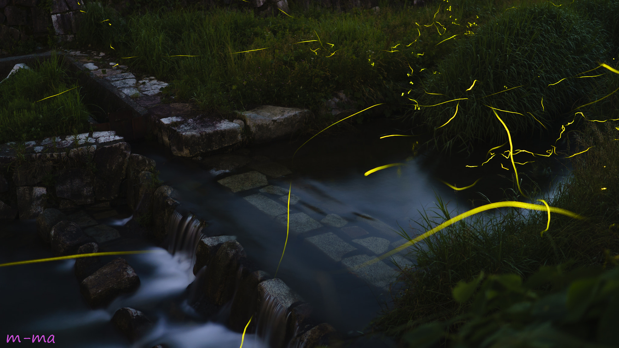 Sony a7S + Sony Distagon T* FE 35mm F1.4 ZA sample photo. River live in firefly photography