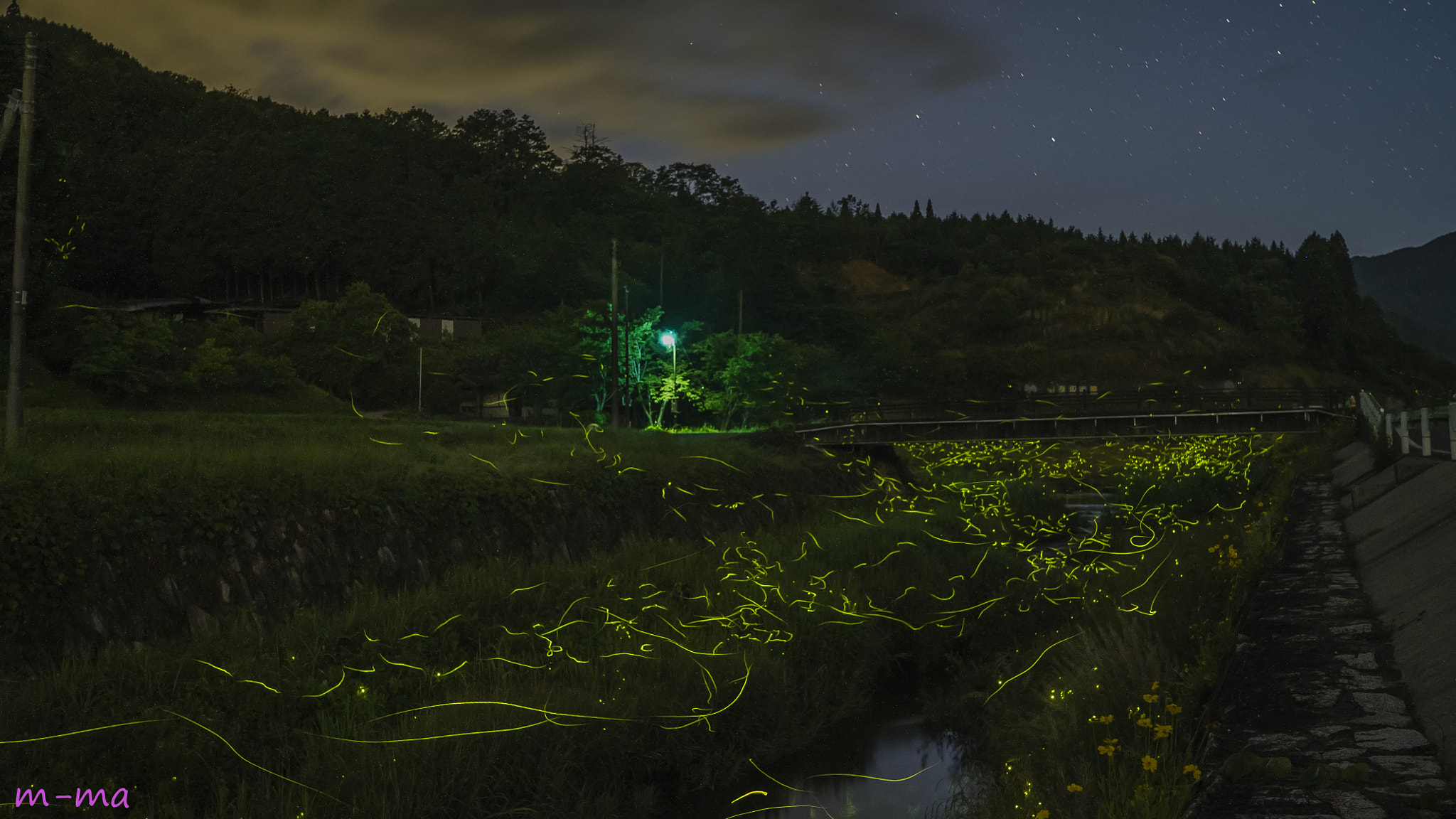 Sony a7S + Sony Distagon T* FE 35mm F1.4 ZA sample photo. Landscape with firefly photography