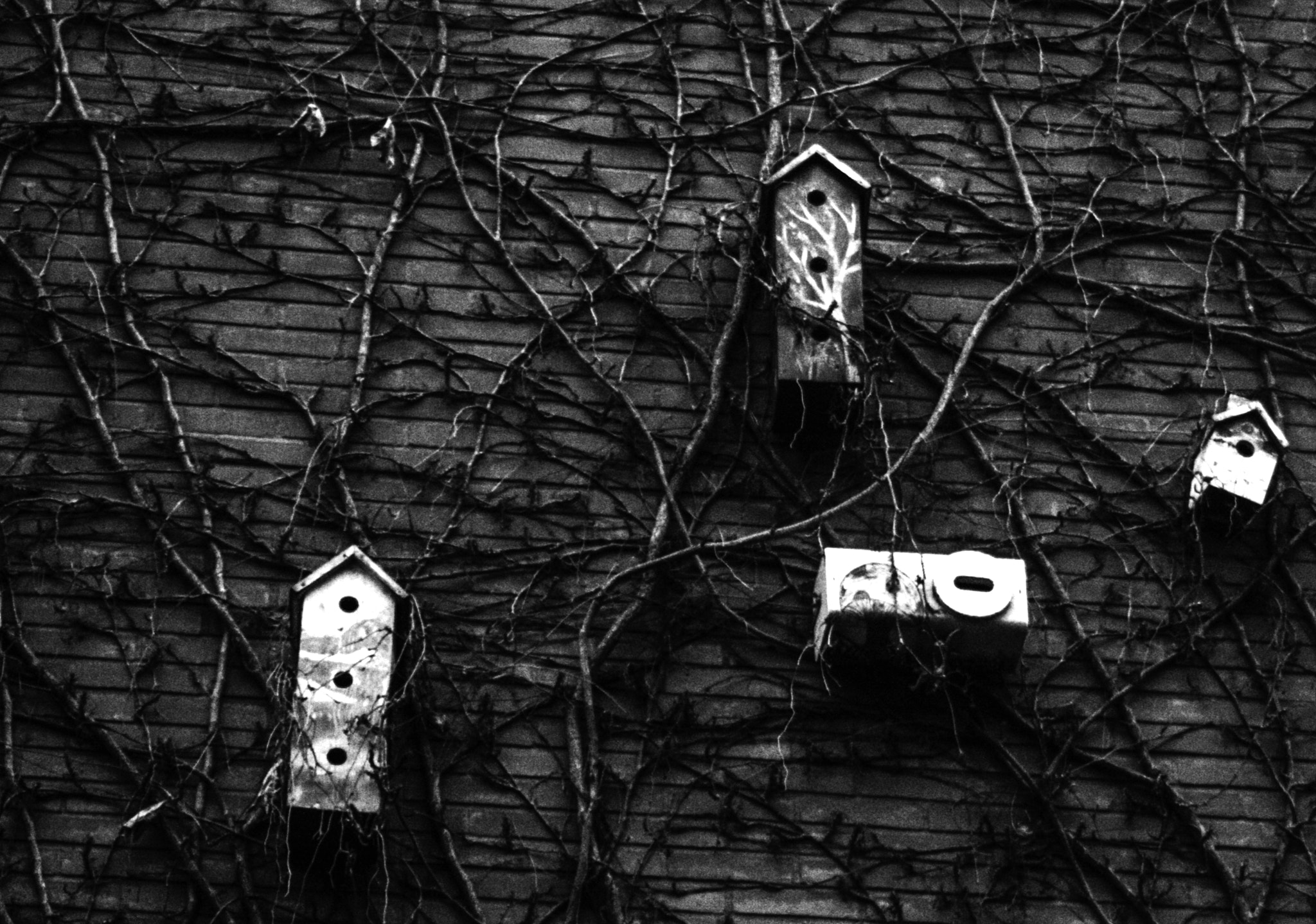 Canon EOS 450D (EOS Rebel XSi / EOS Kiss X2) sample photo. Birdhouses photography