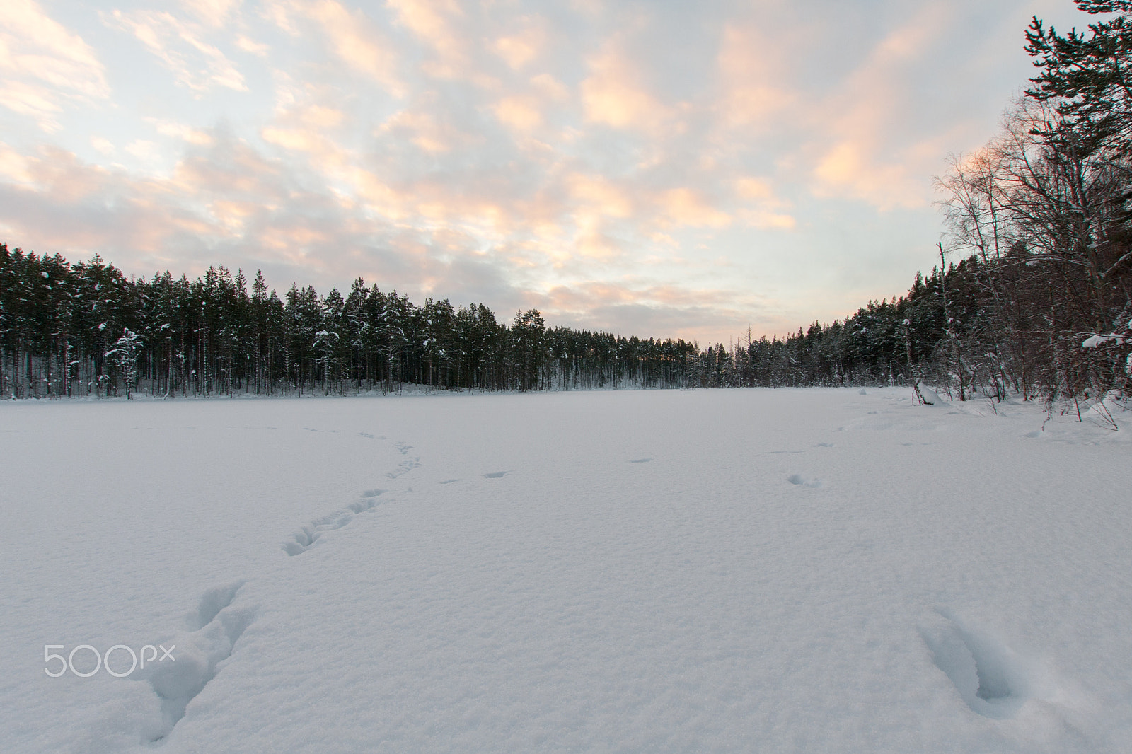 Sigma 10-20mm F3.5 EX DC HSM sample photo. Лесное озеро photography