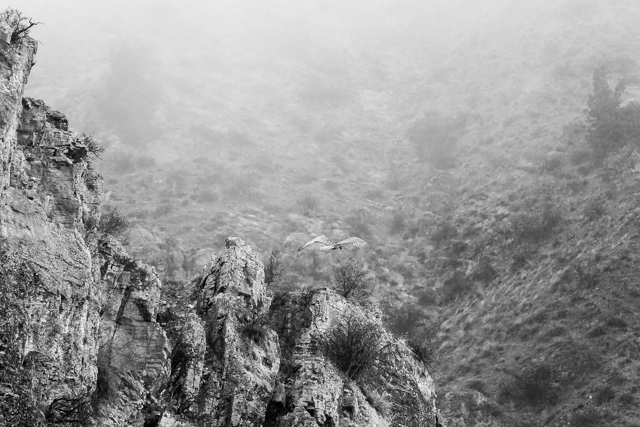 Canon EF 300mm F4L IS USM sample photo. Misty mountains photography