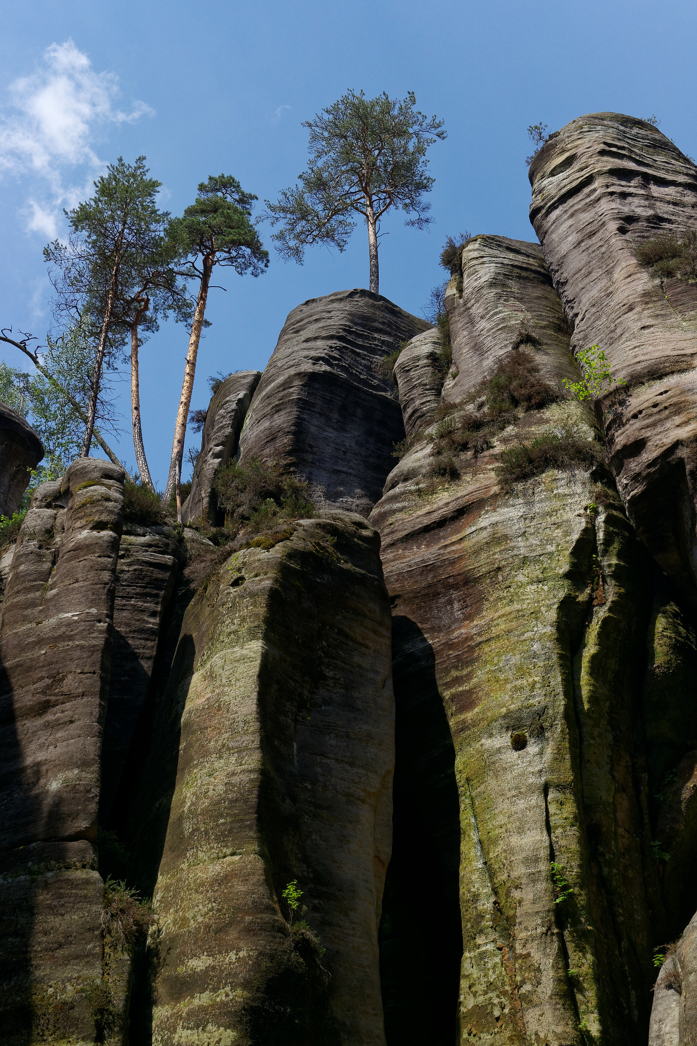 Samsung NX 20-50mm F3.5-5.6 ED sample photo. Adršpach-teplice rocks photography