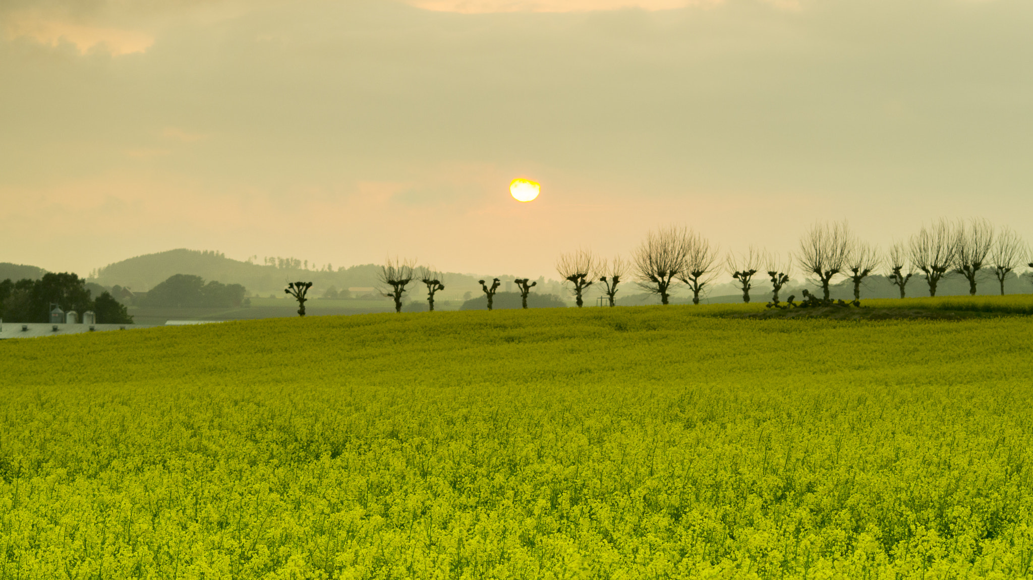 Sigma 70-300mm F4-5.6 DL Macro sample photo. Falkenberg sunset photography