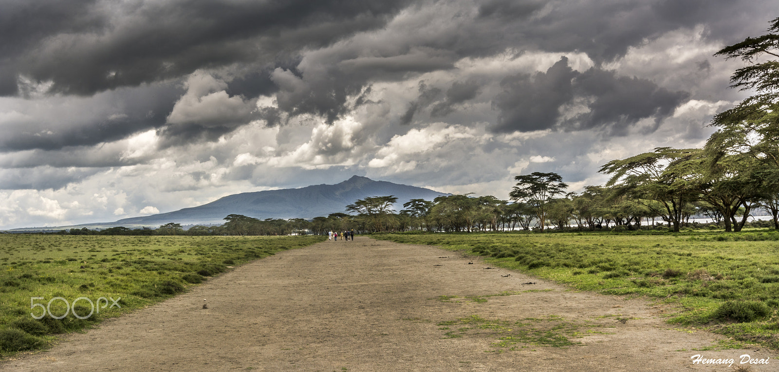 Nikon AF-S Nikkor 16-35mm F4G ED VR sample photo. The walking track.... photography