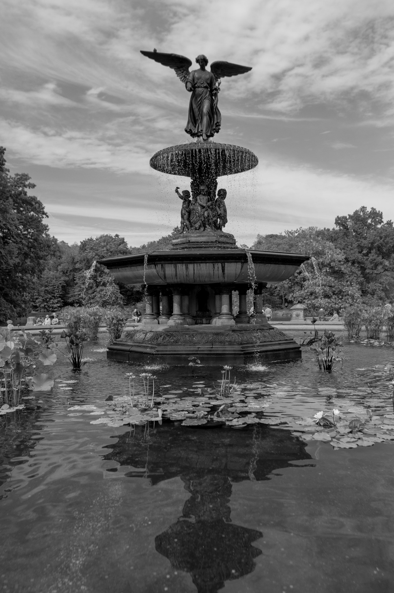 Nikon AF-S Nikkor 20mm F1.8G ED sample photo. Bethesda fountain photography