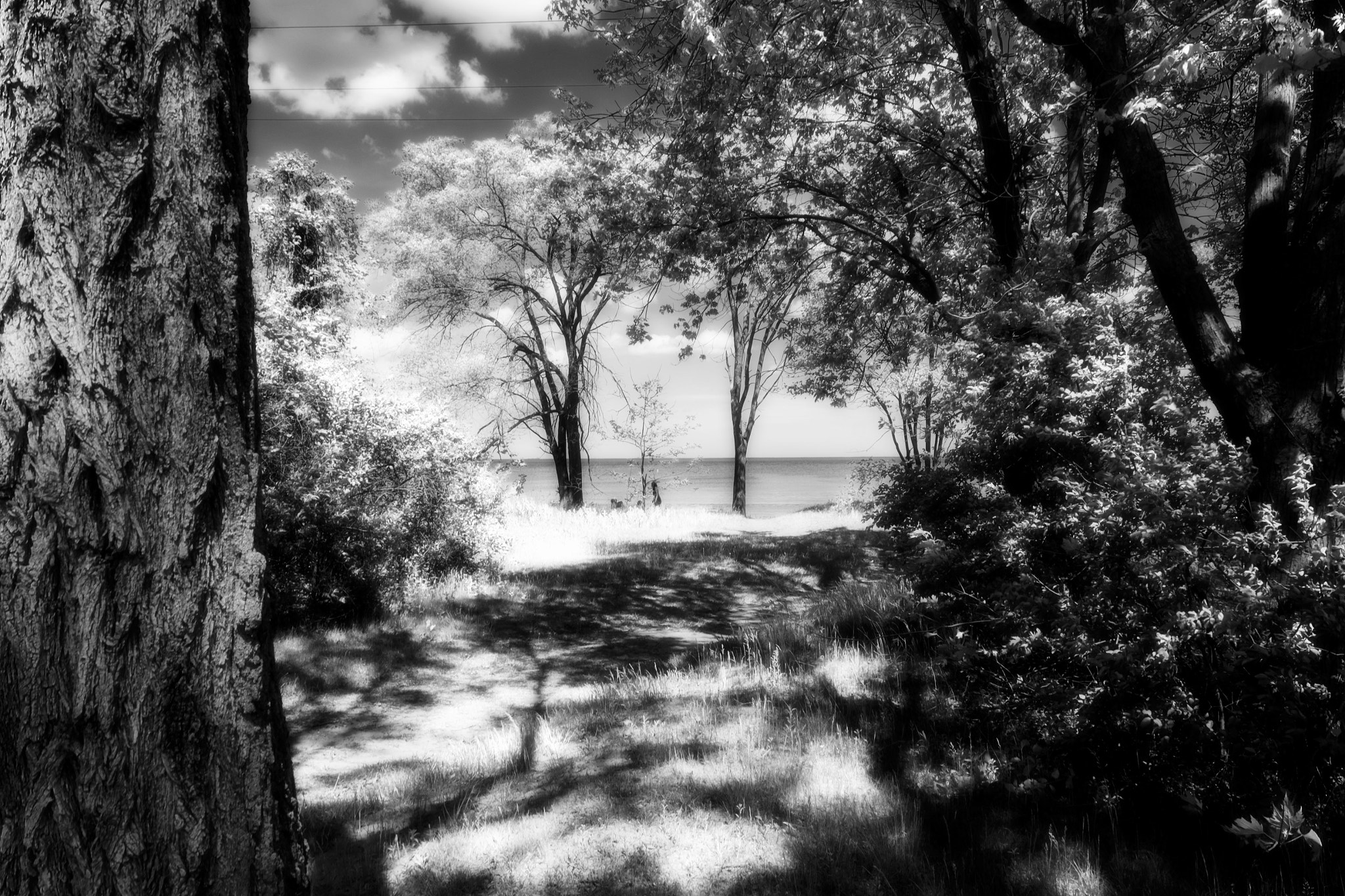 Fujifilm XC 16-50mm F3.5-5.6 OIS sample photo. Burlington beach on. photography