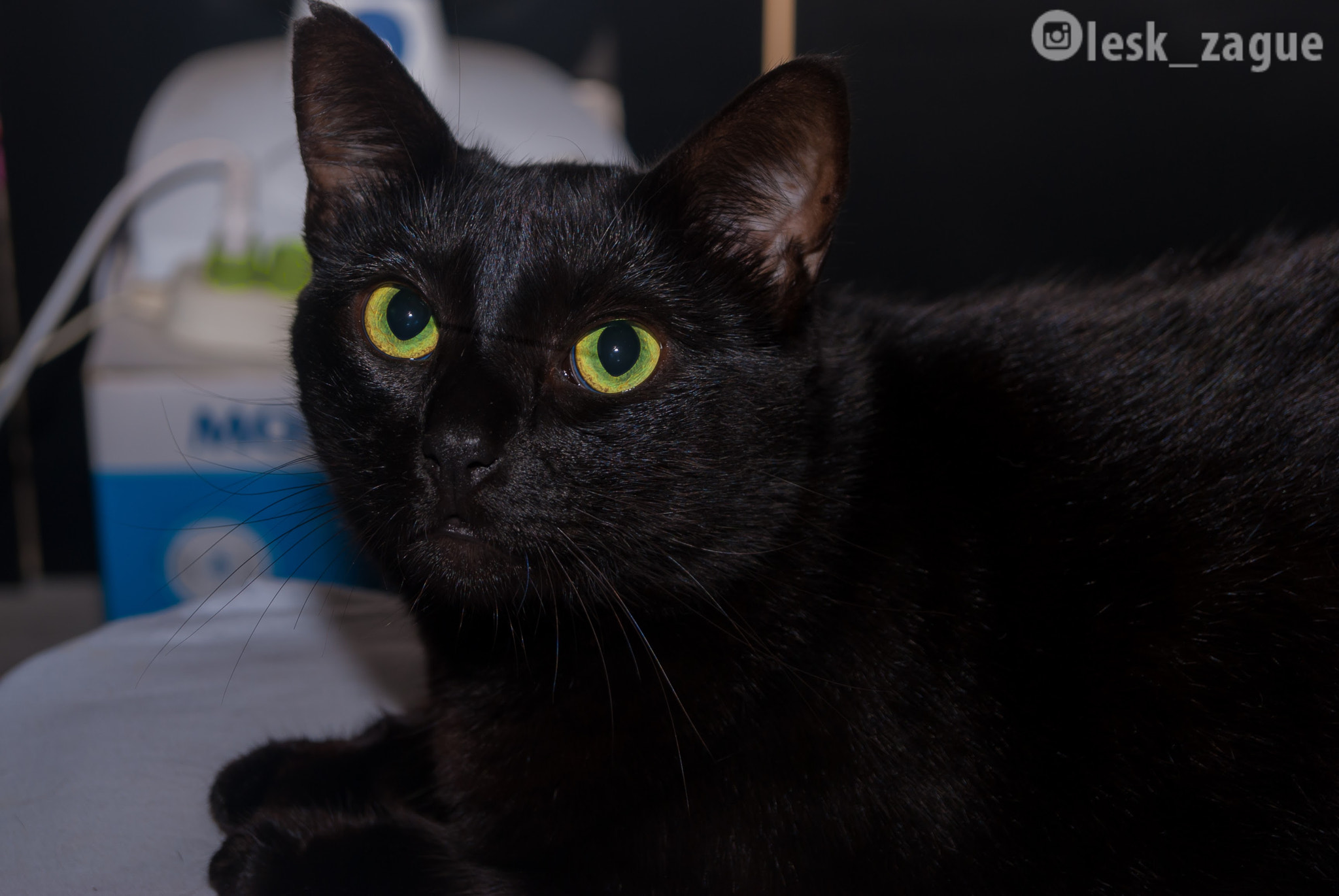 Sony Alpha DSLR-A230 + Sony DT 18-55mm F3.5-5.6 SAM sample photo. My girl  photography