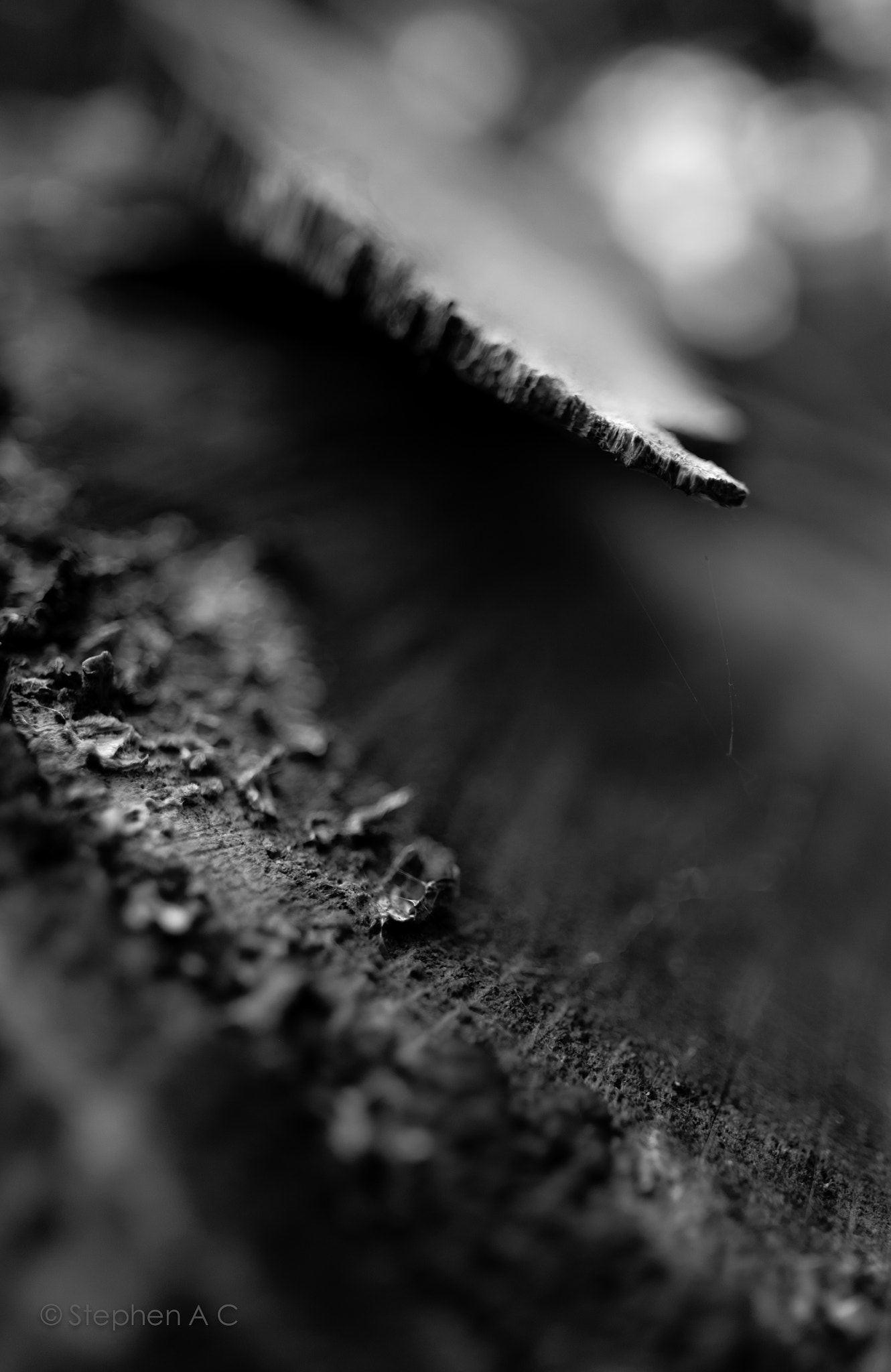 Fujifilm X-E2 + Fujifilm XF 16mm F1.4 R WR sample photo. Untitled photography