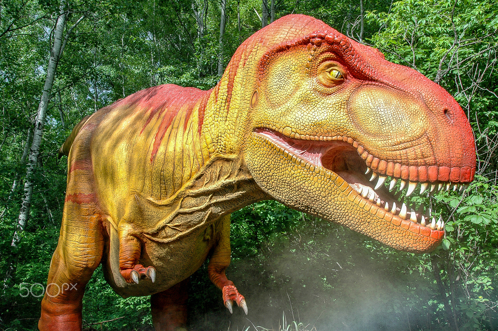 Nikon D70 sample photo. Robotic tyrannosaurus rex photography