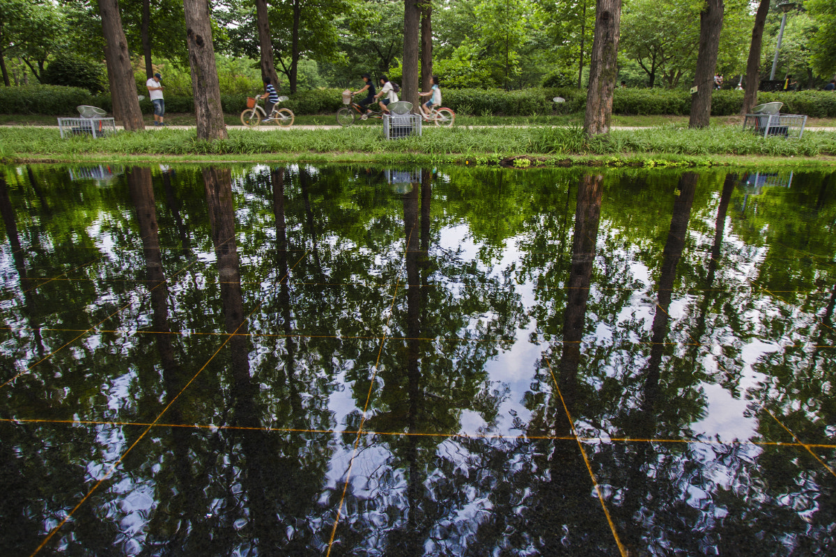 Canon EOS-1D Mark III sample photo. Walk photography