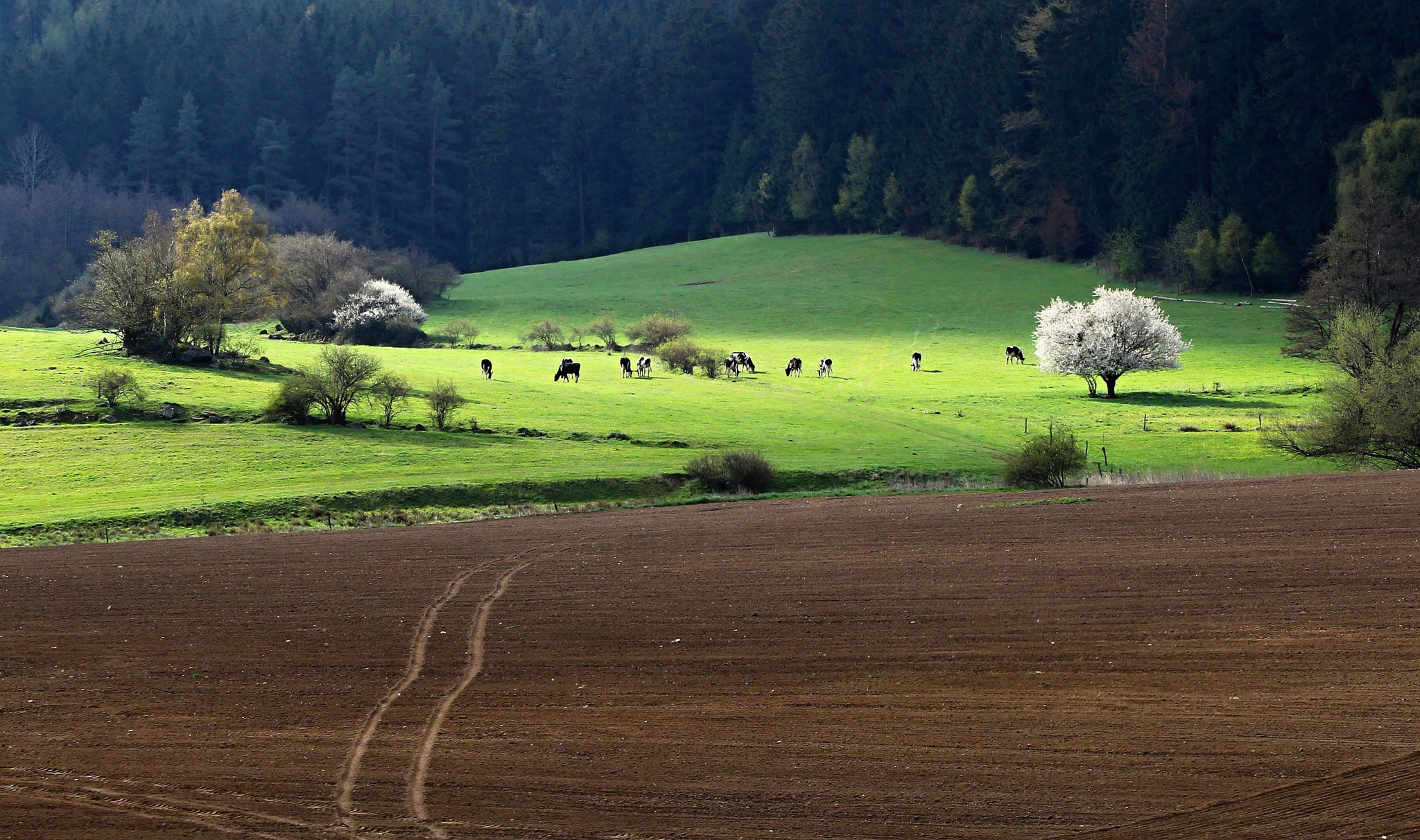 Canon EOS-1D Mark IV sample photo. Landscape of the highlands. photography