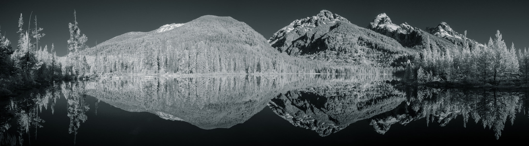 Nikon AF-S Nikkor 14-24mm F2.8G ED sample photo. Reflections in taggart lake, grand tetons np (ir) photography