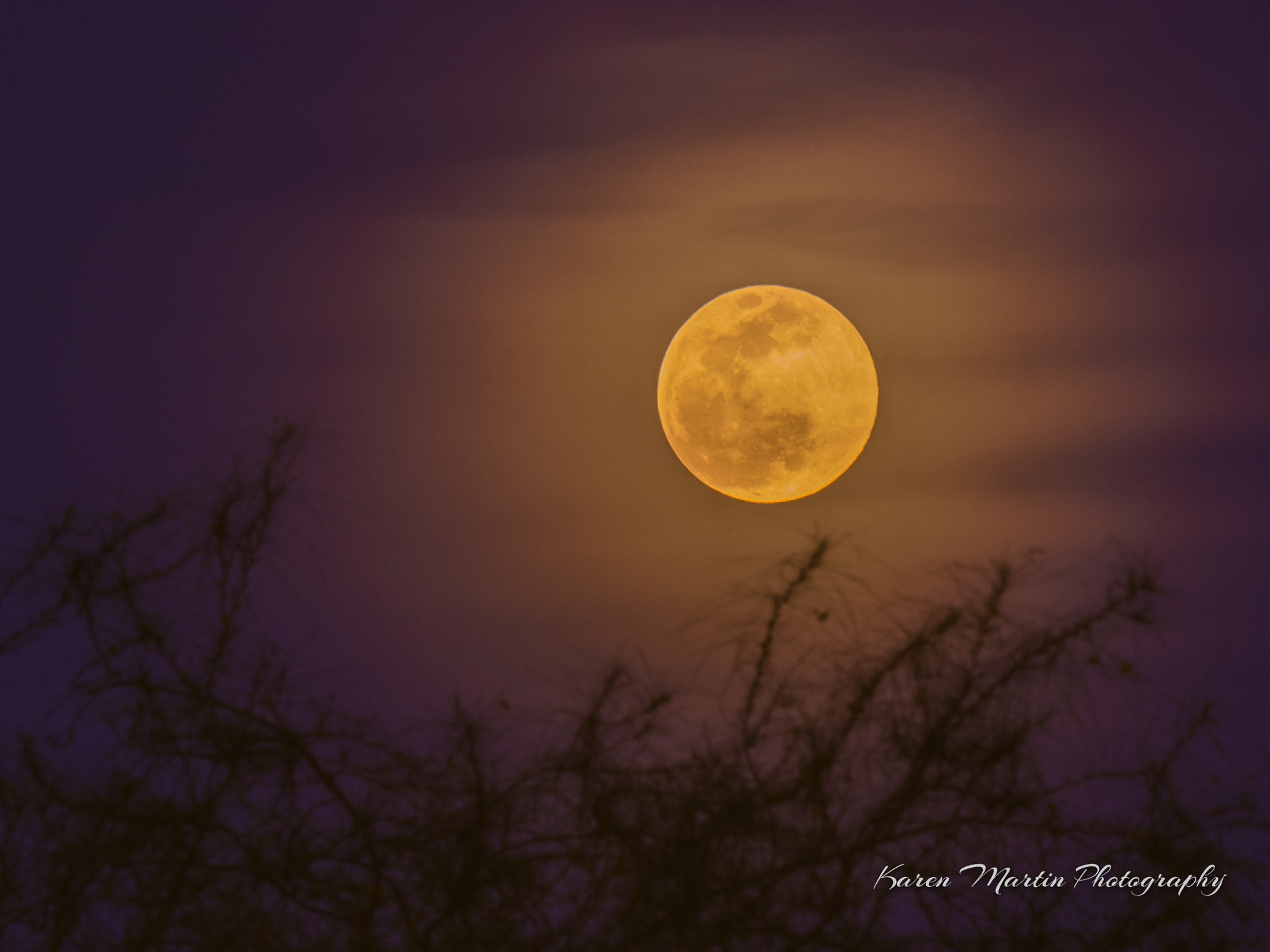 Olympus OM-D E-M5 II + LEICA DG 100-400/F4.0-6.3 sample photo. Full moon photography