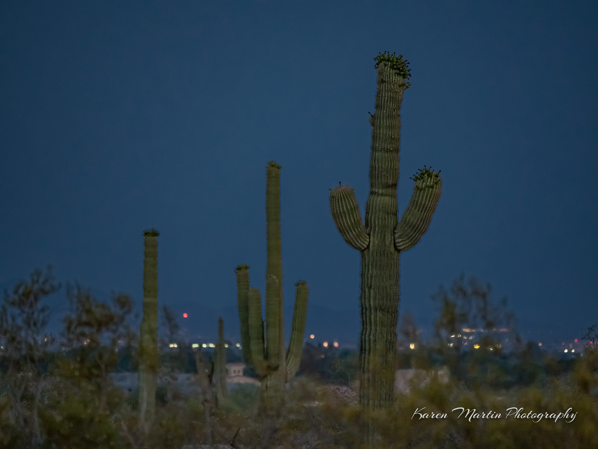 Olympus OM-D E-M5 II + LEICA DG 100-400/F4.0-6.3 sample photo. Desert twilight photography