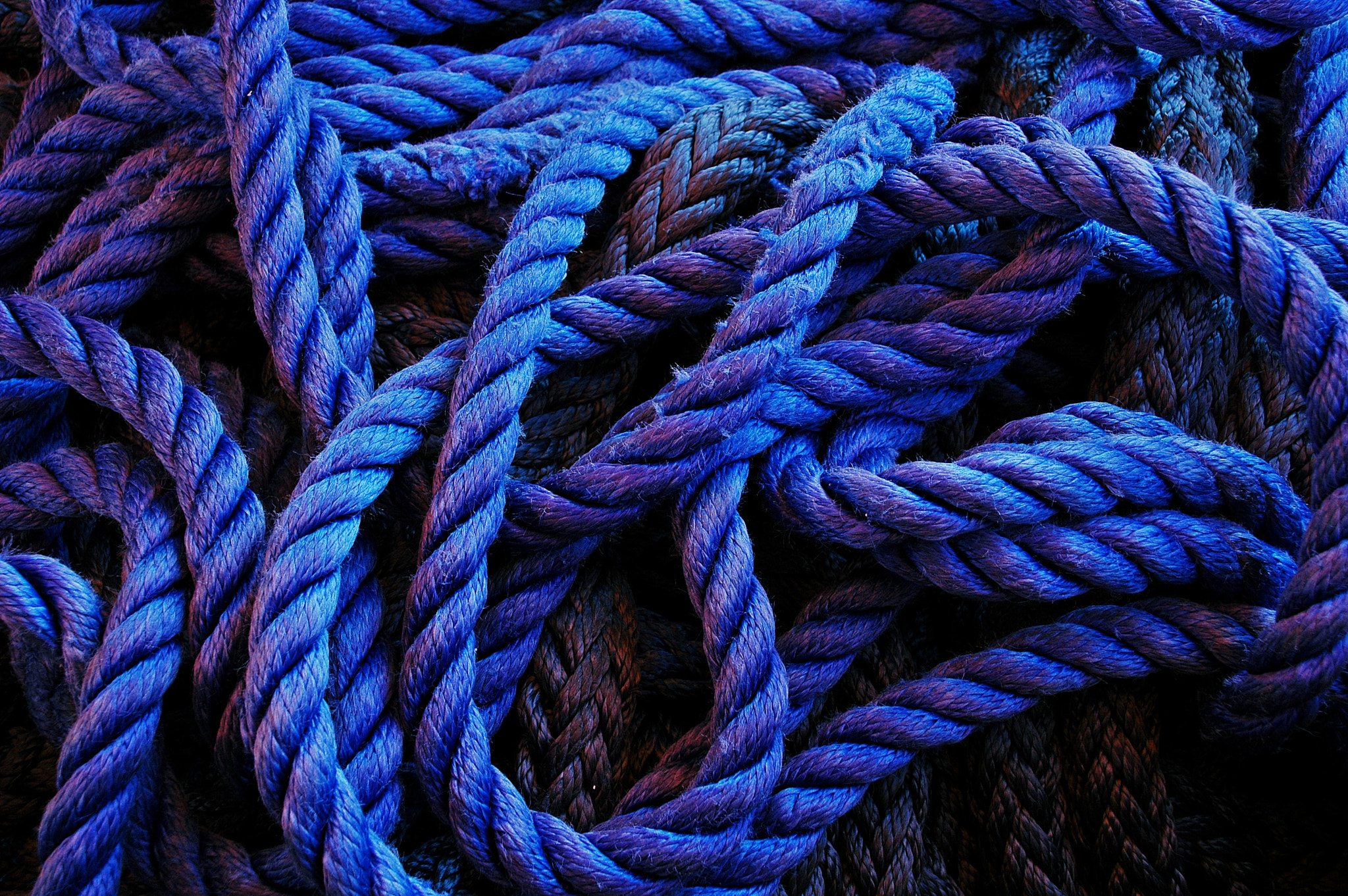 Nikon D70s sample photo. Mess photography