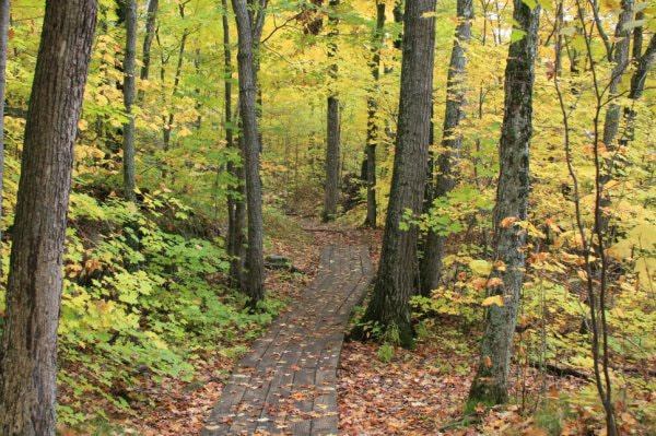 v2?sig=047f3aea418f4d21583040d3f55e436f9952647bc54d96994ddc6bf67b05c7af