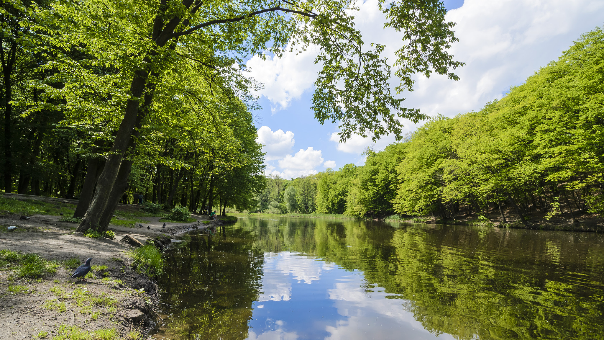 Nikon D3100 sample photo. The spring in kyiv photography
