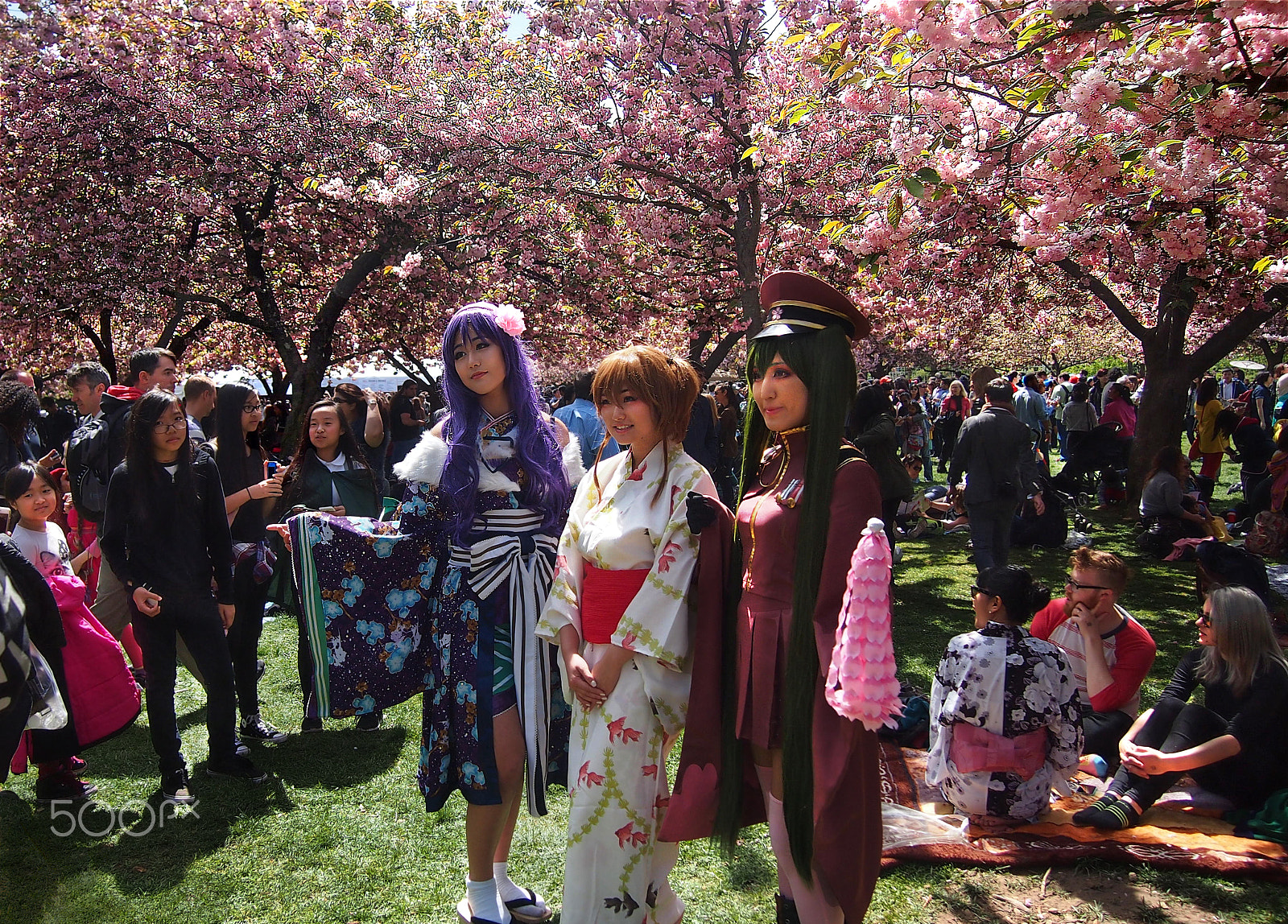 Olympus PEN E-P3 sample photo. Sakura festival photography