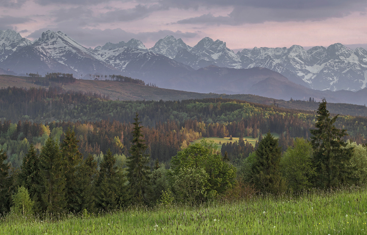 Sony SLT-A58 + Minolta AF 70-210mm F4 Macro sample photo. Tatry photography