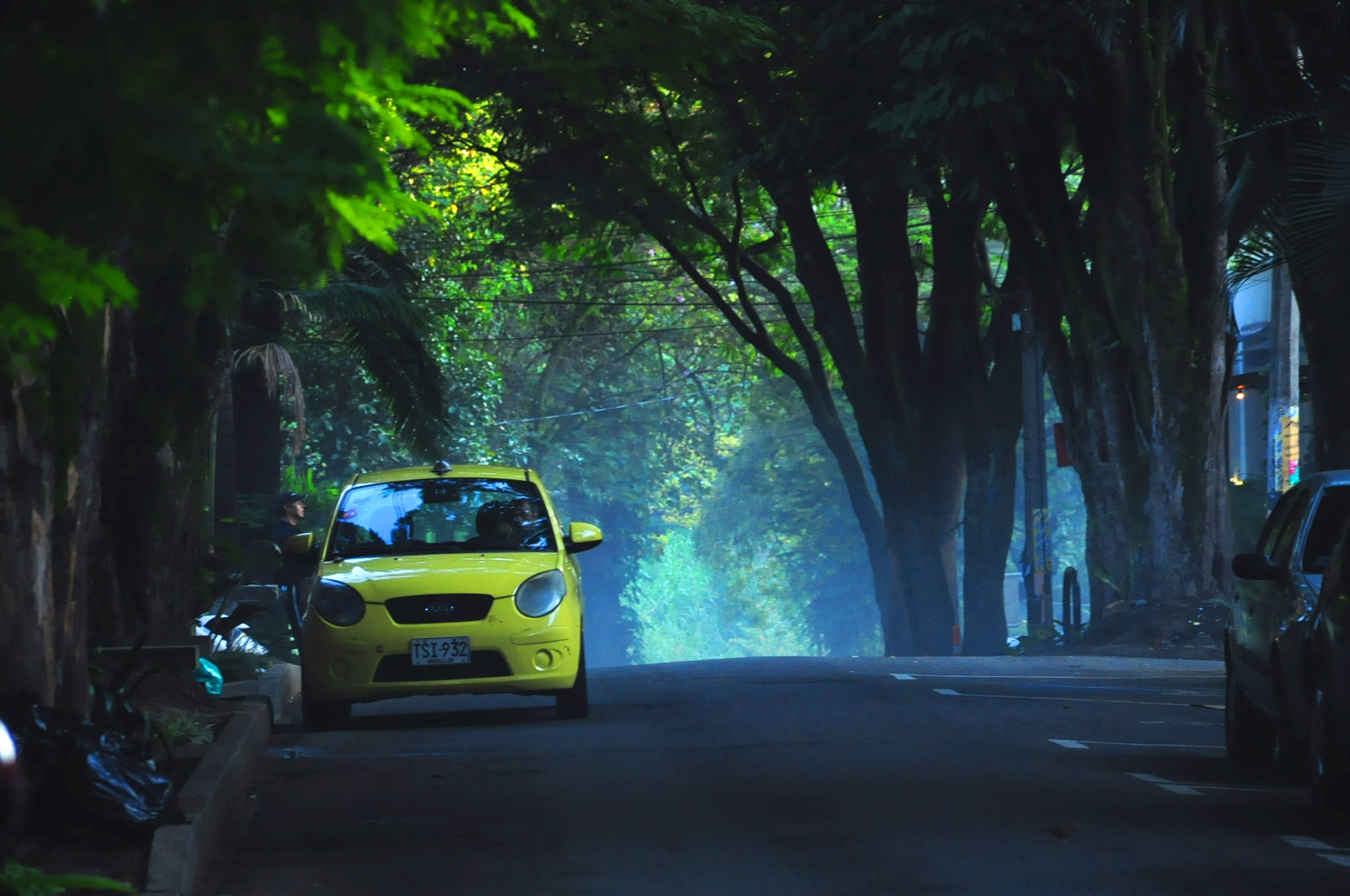Nikon D90 + Sigma 18-200mm F3.5-6.3 DC sample photo. Street on the mountains photography