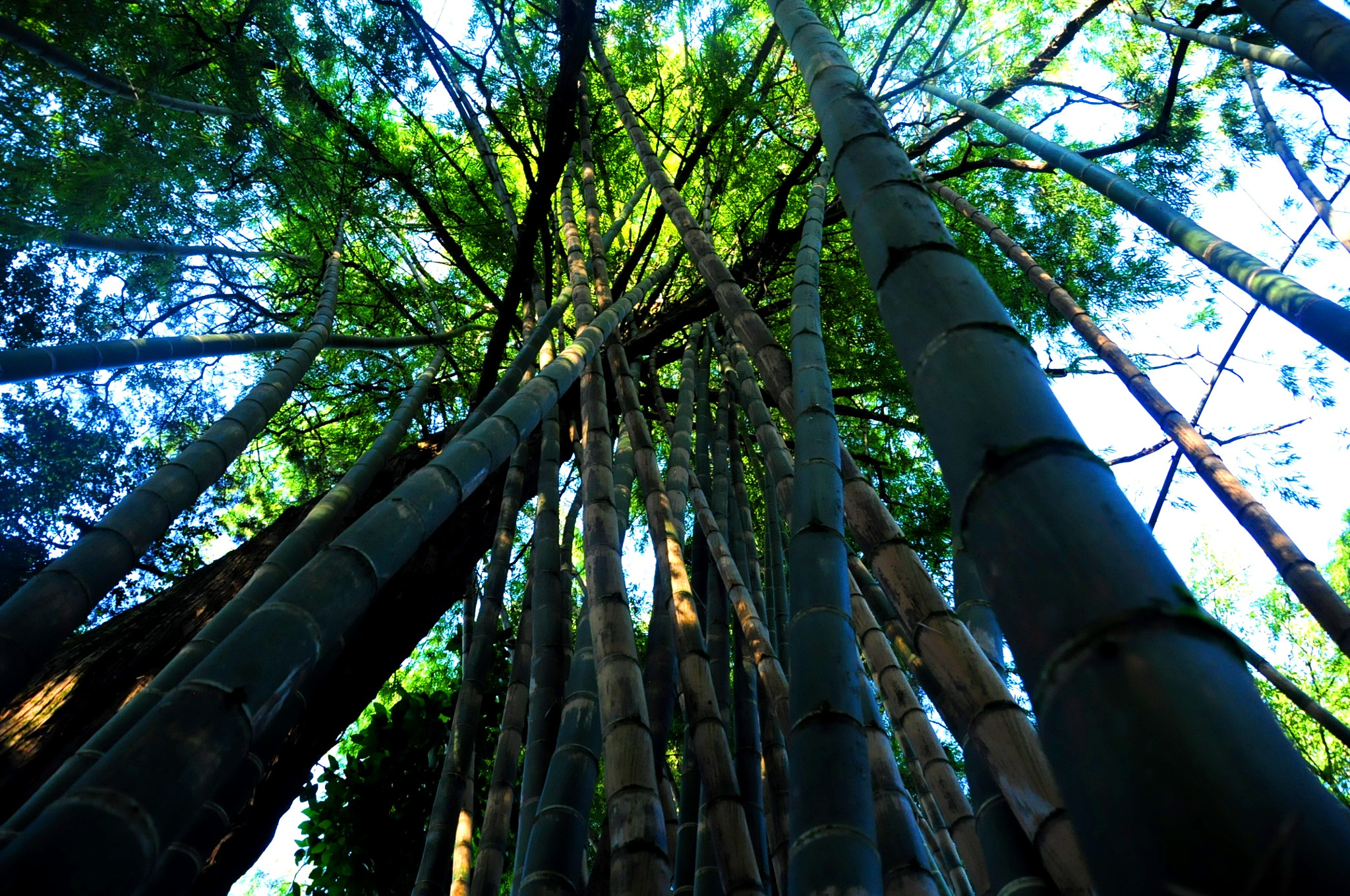 Nikon D90 + Sigma 18-200mm F3.5-6.3 DC sample photo. Relationship photography
