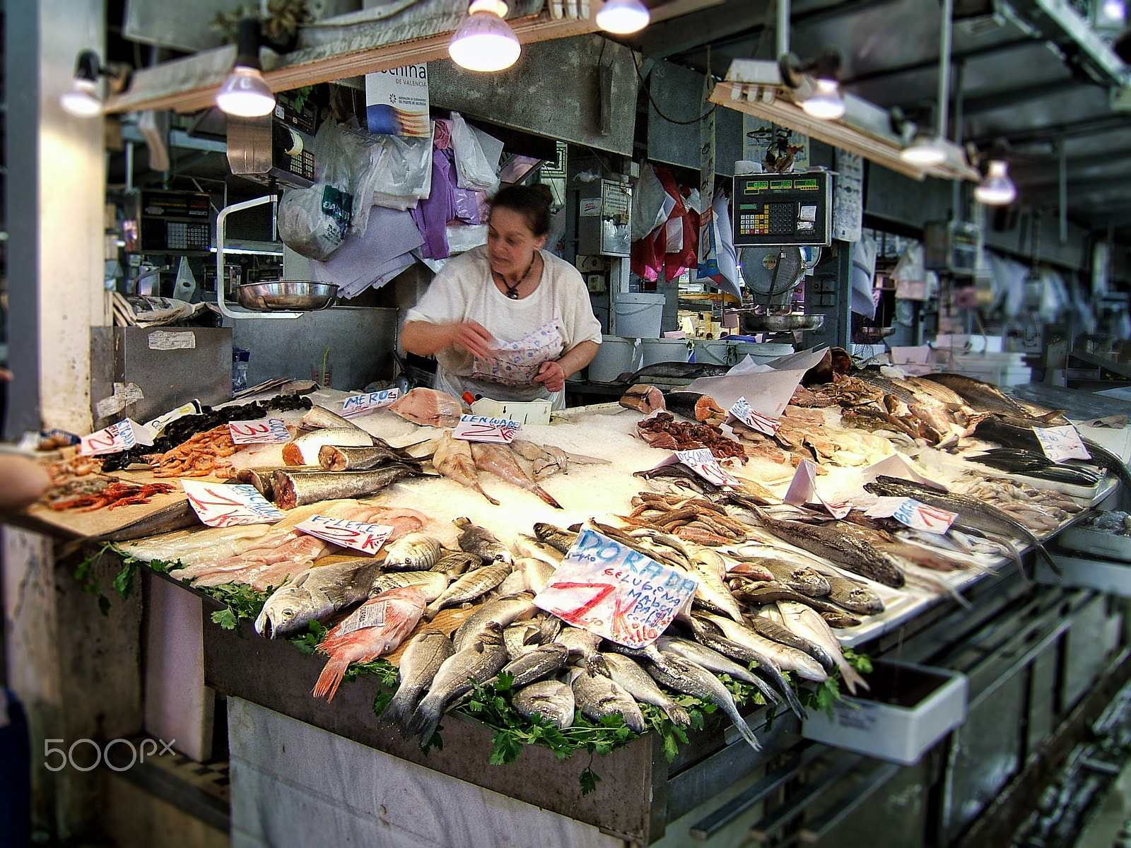 Fujifilm FinePix E550 sample photo. Pescheria |  fish market photography