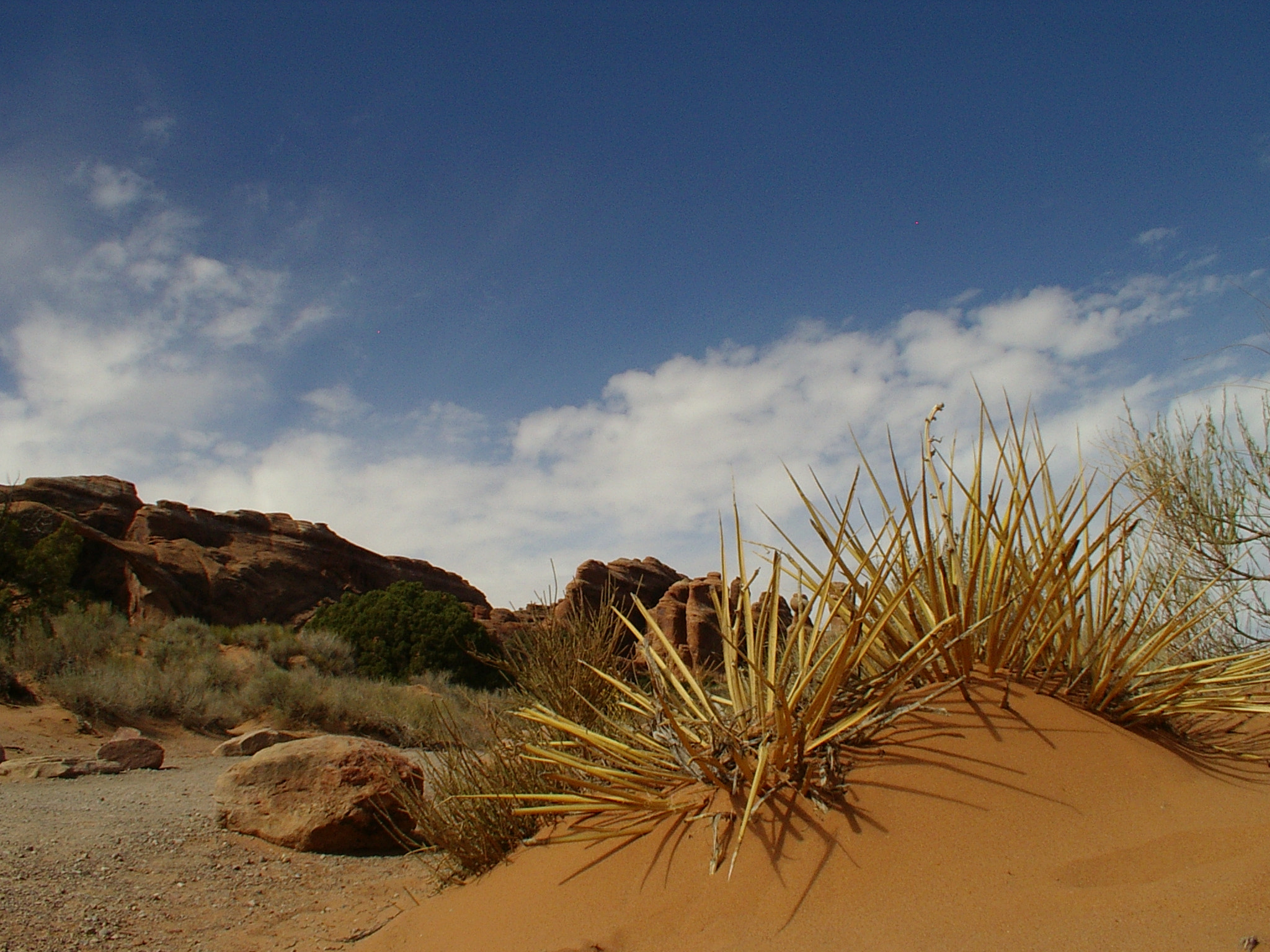 Pentax OPTIO MX sample photo. Arches national park photography