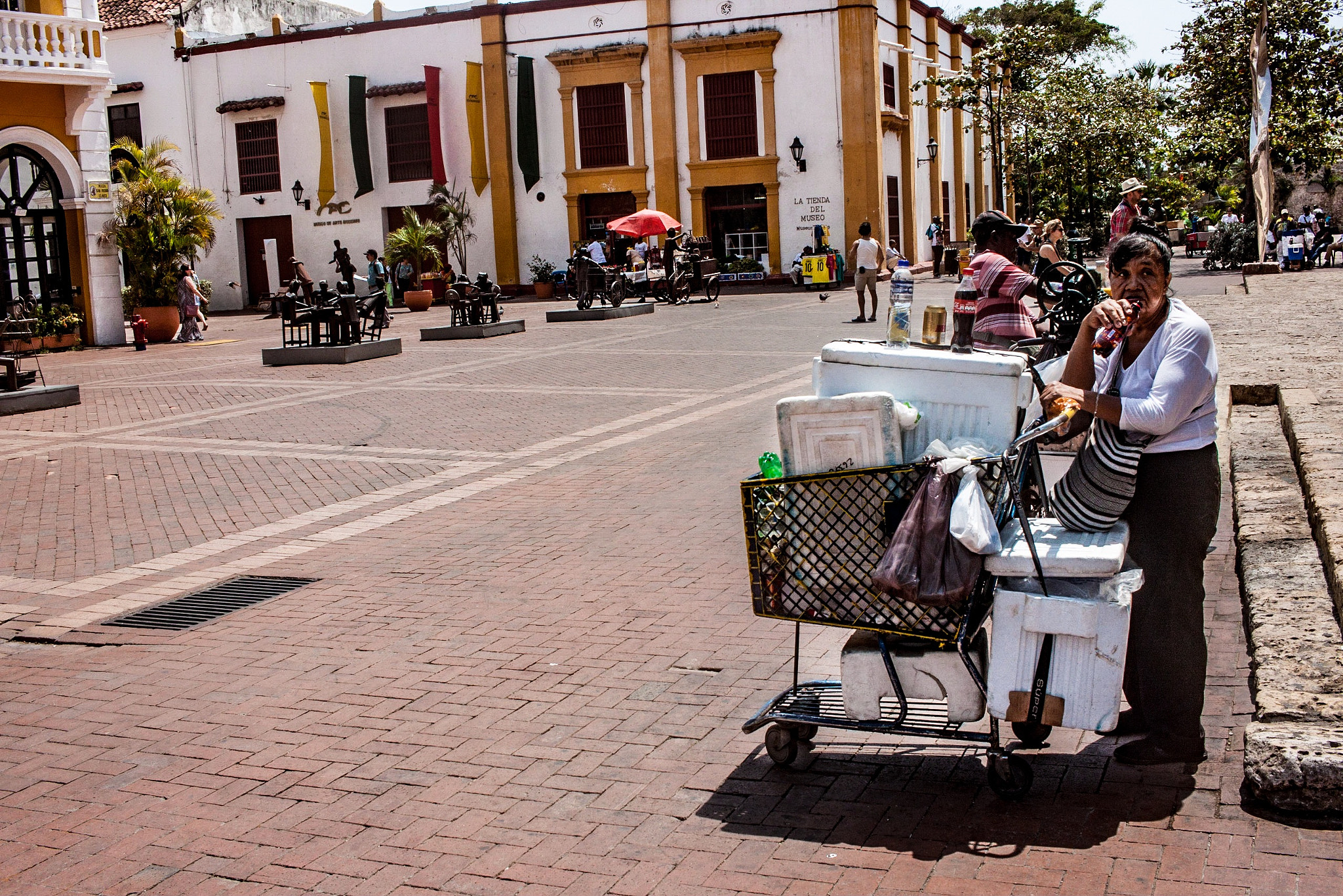 Canon EF-S 24mm F2.8 STM sample photo. De plaza photography