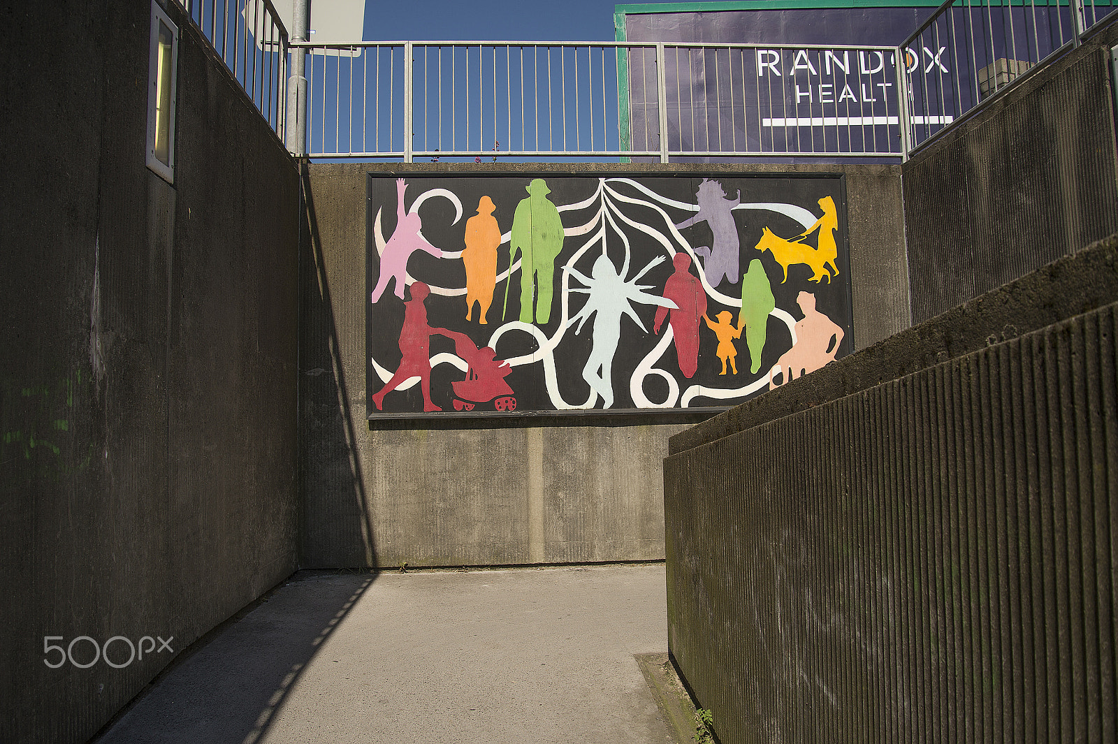 Nikon Df sample photo. Holywood belfast photography