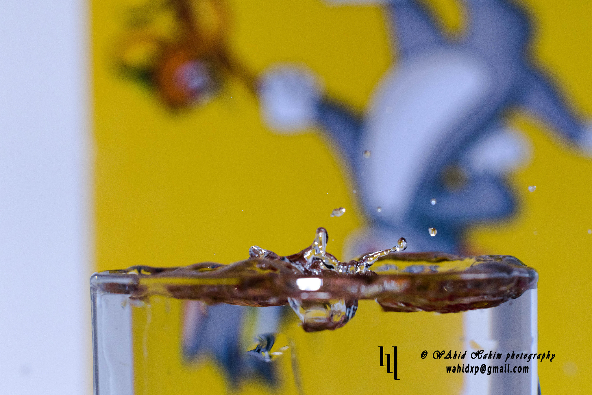 Canon EF 50mm F1.4 USM sample photo. Water splash photography