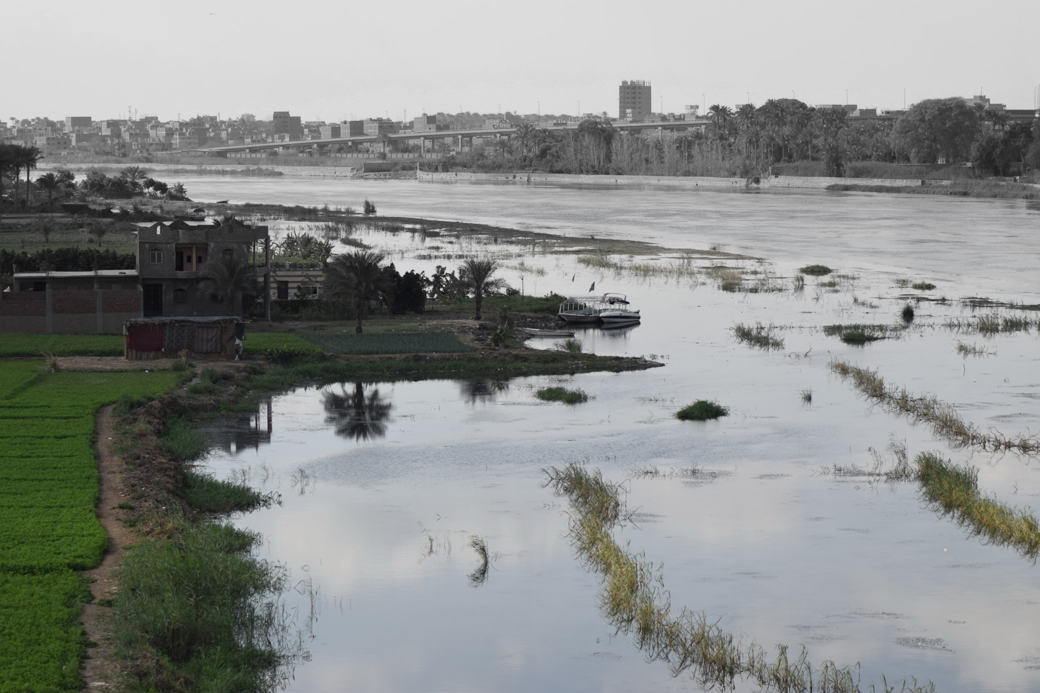 Nikon AF Nikkor 70-300mm F4-5.6G sample photo. Nile effect photography