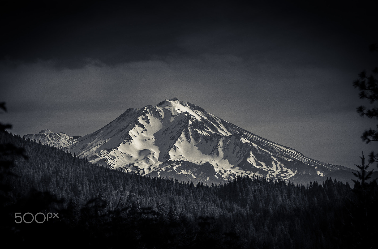 Nikon D40X sample photo. Shasta photography