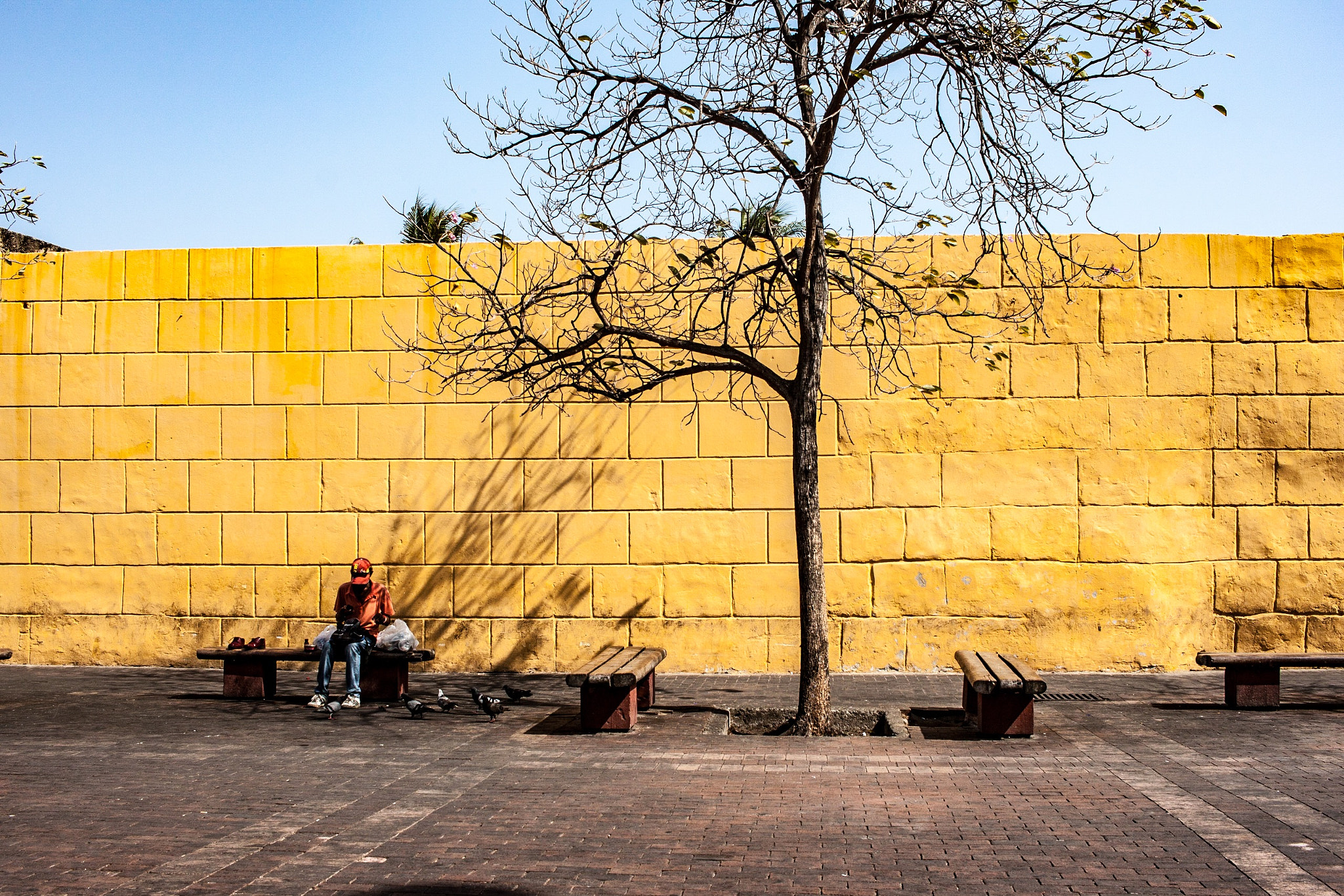 Canon EF-S 24mm F2.8 STM sample photo. Sombra photography
