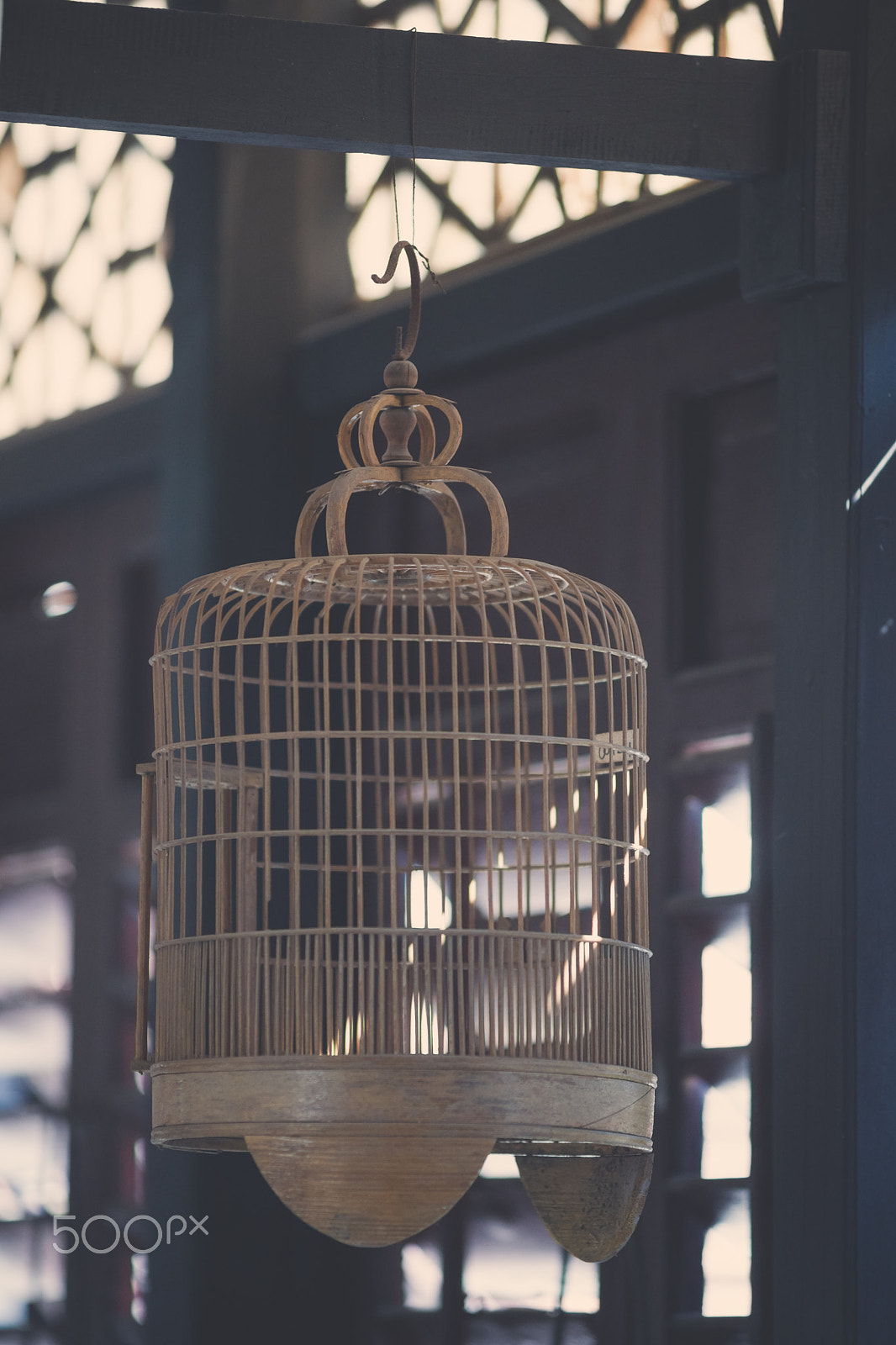 Sony Alpha DSLR-A850 + Minolta AF 80-200mm F2.8 HS-APO G sample photo. Birdcage photography