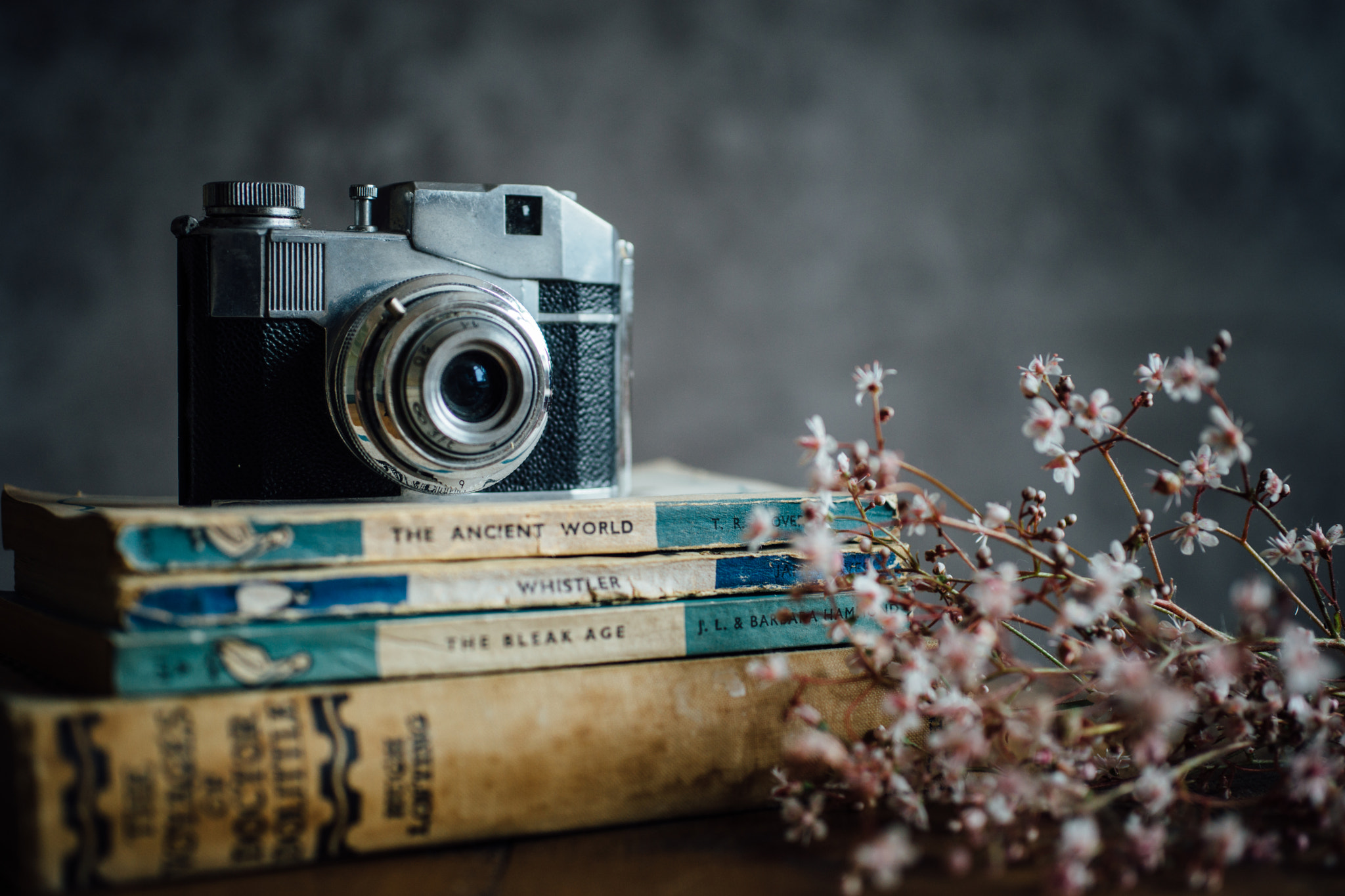 Sony a99 II + Sigma 30mm F1.4 EX DC HSM sample photo. Vintage books & camera 1 photography