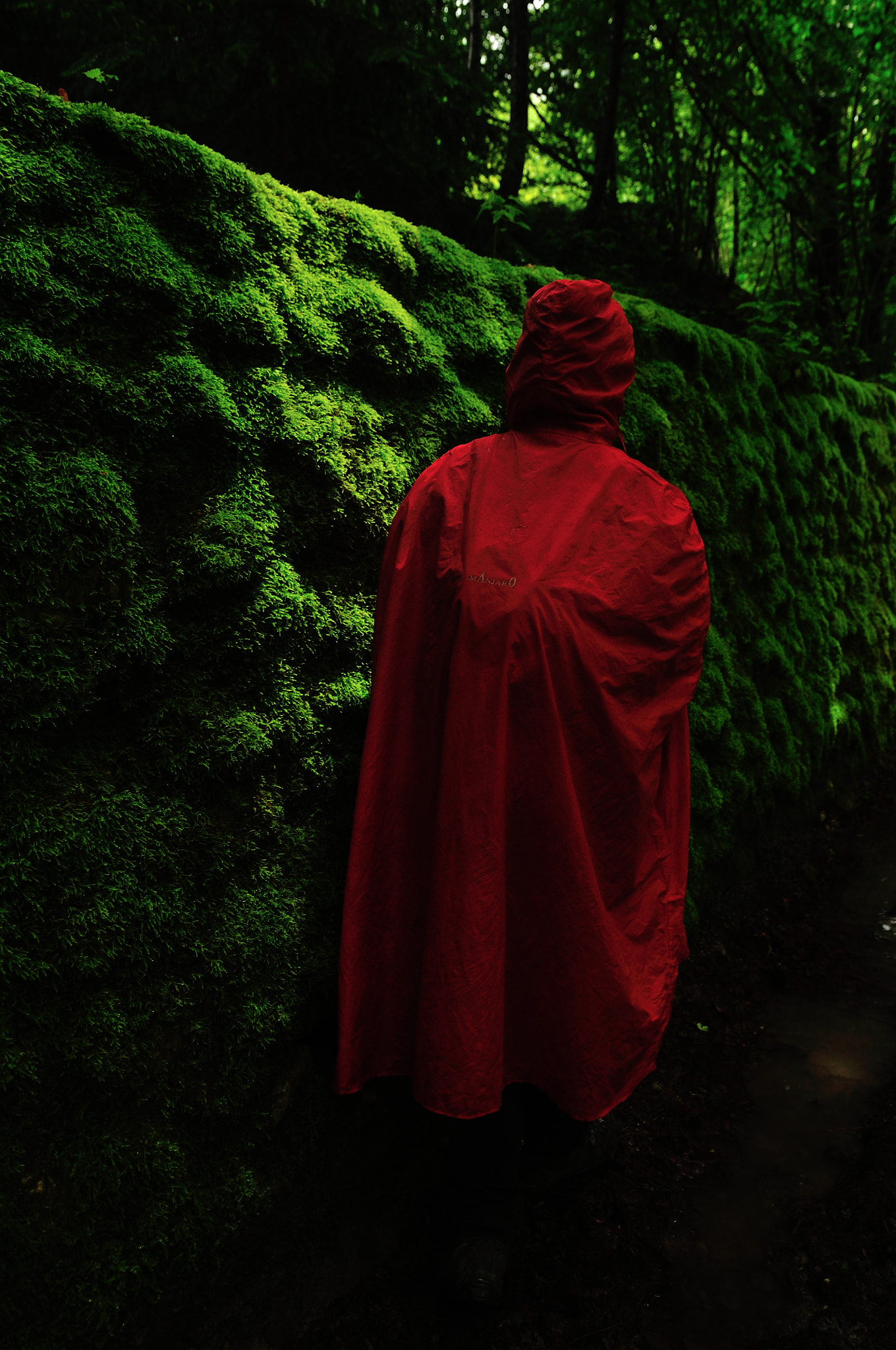 Nikon D90 + Sigma 18-35mm F1.8 DC HSM Art sample photo. Red riding hood photography