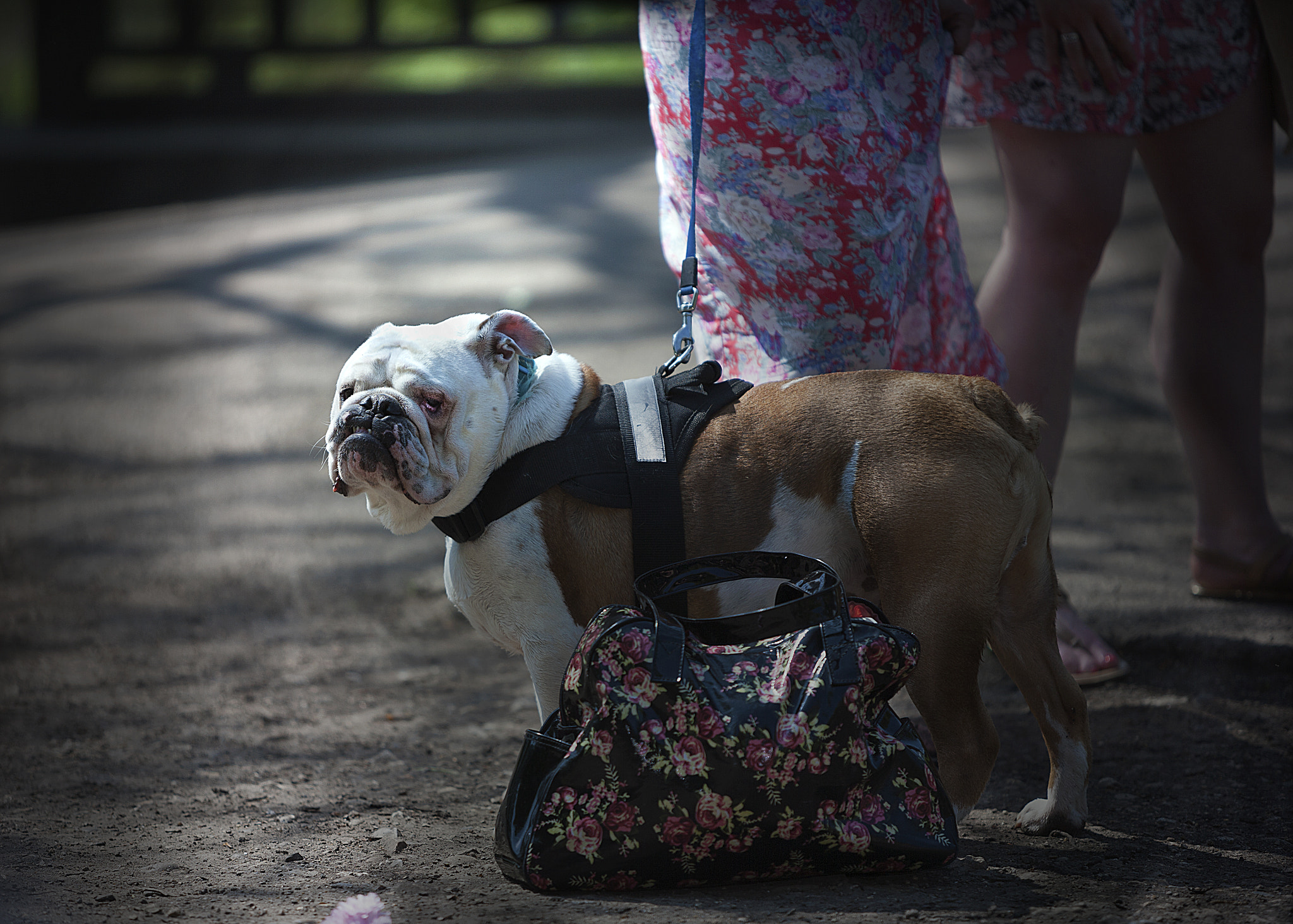 Canon EOS-1Ds Mark II sample photo. I hate shopping photography