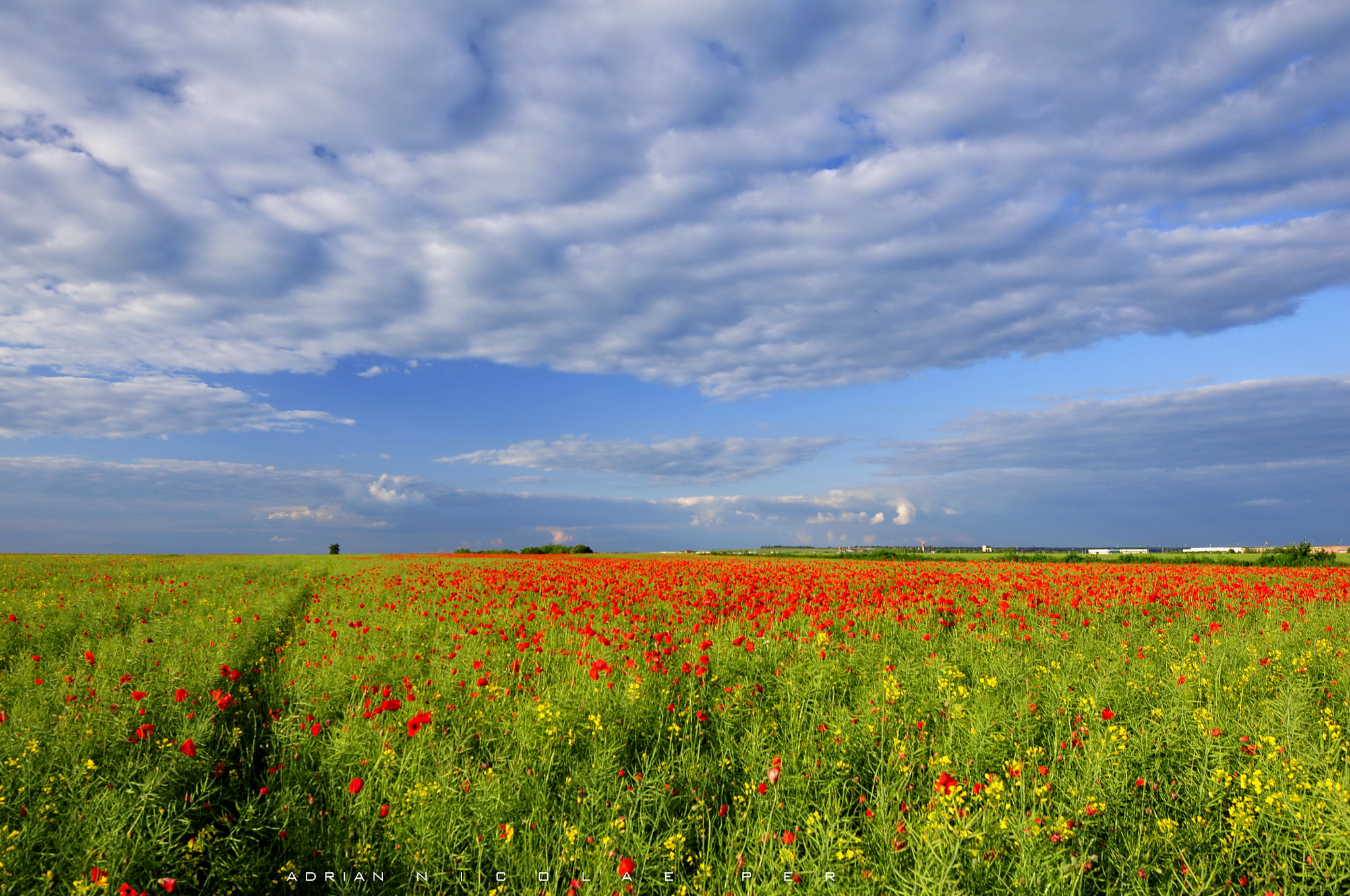 Nikon AF-S Nikkor 16-35mm F4G ED VR sample photo. _summer romania photography