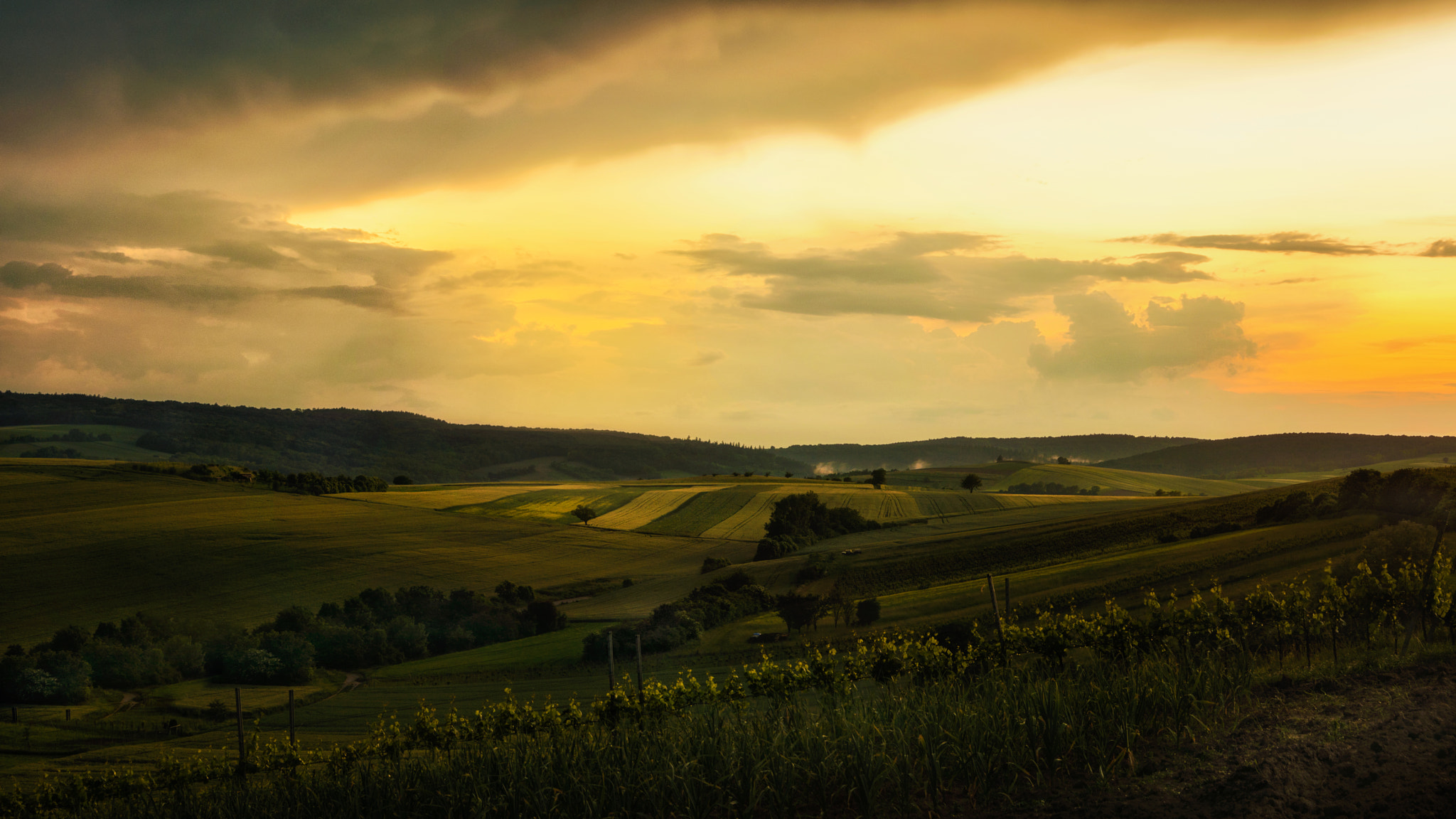 AF Zoom-Nikkor 24-120mm f/3.5-5.6D IF sample photo. Rolling hills (weinviertel version) photography