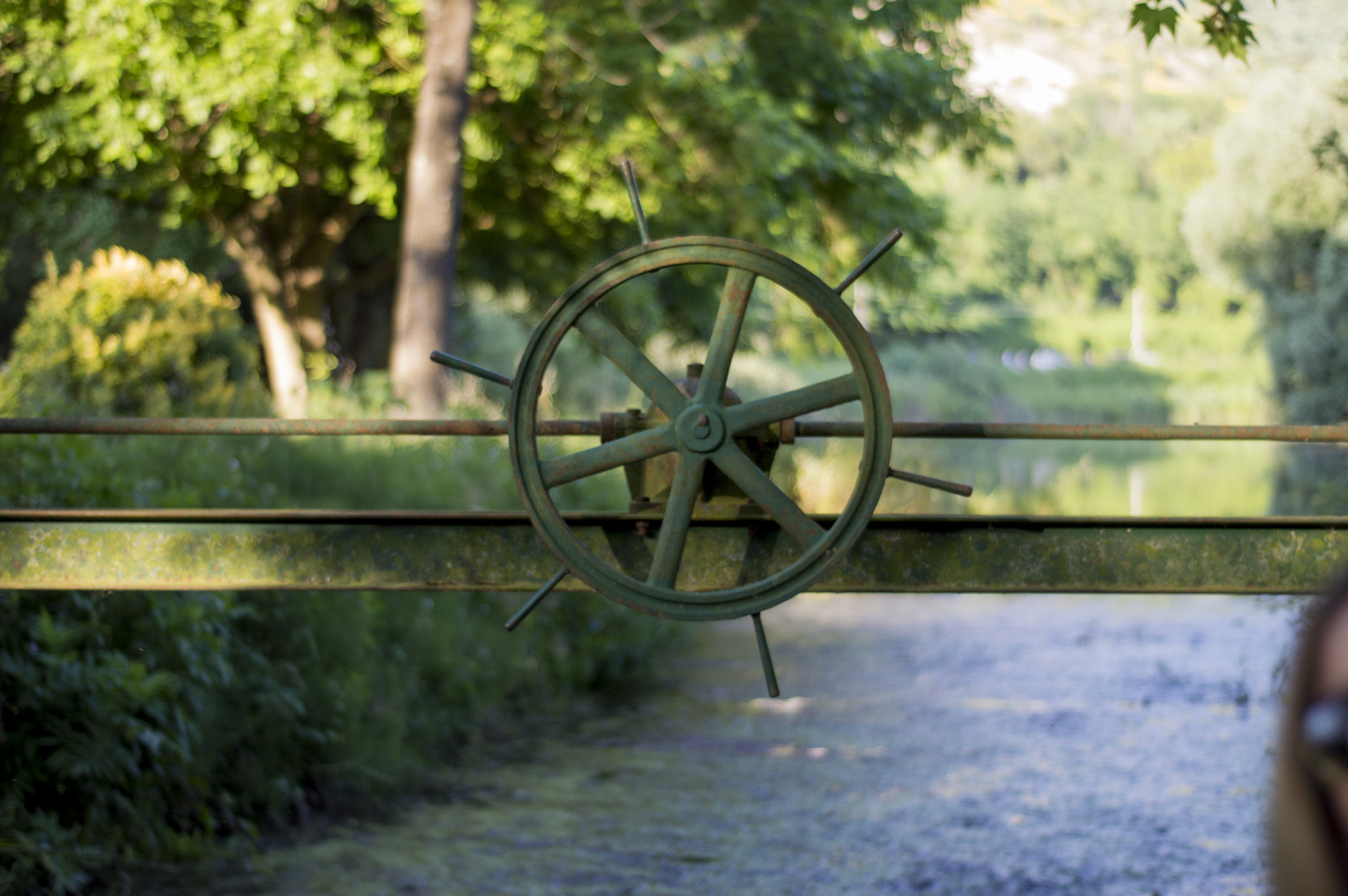 Nikon D3200 + AF Nikkor 50mm f/1.8 sample photo. Giardini di ninfa #1 photography