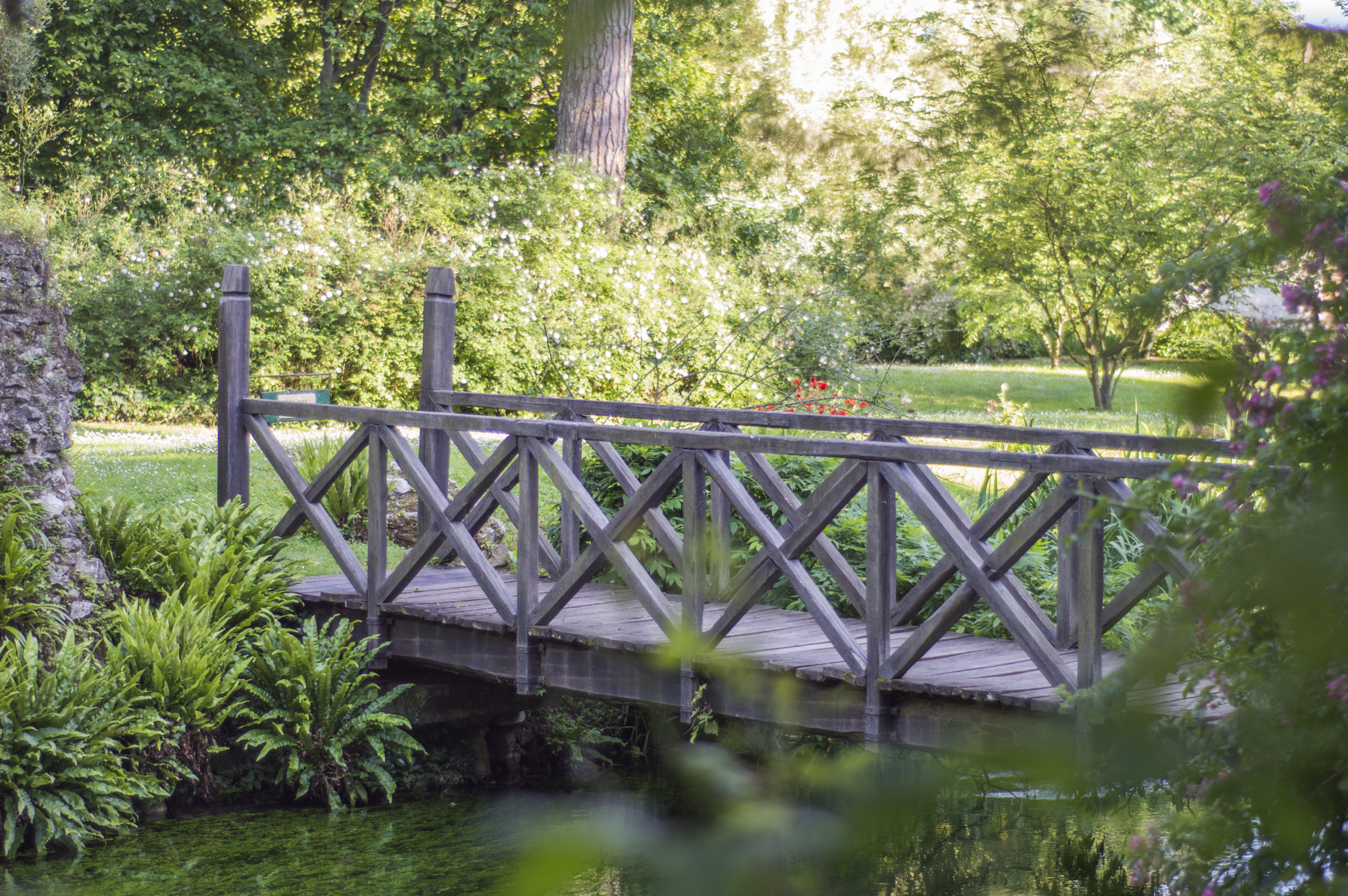 Nikon D3200 + AF Nikkor 50mm f/1.8 sample photo. Giardini di ninfa #2 photography
