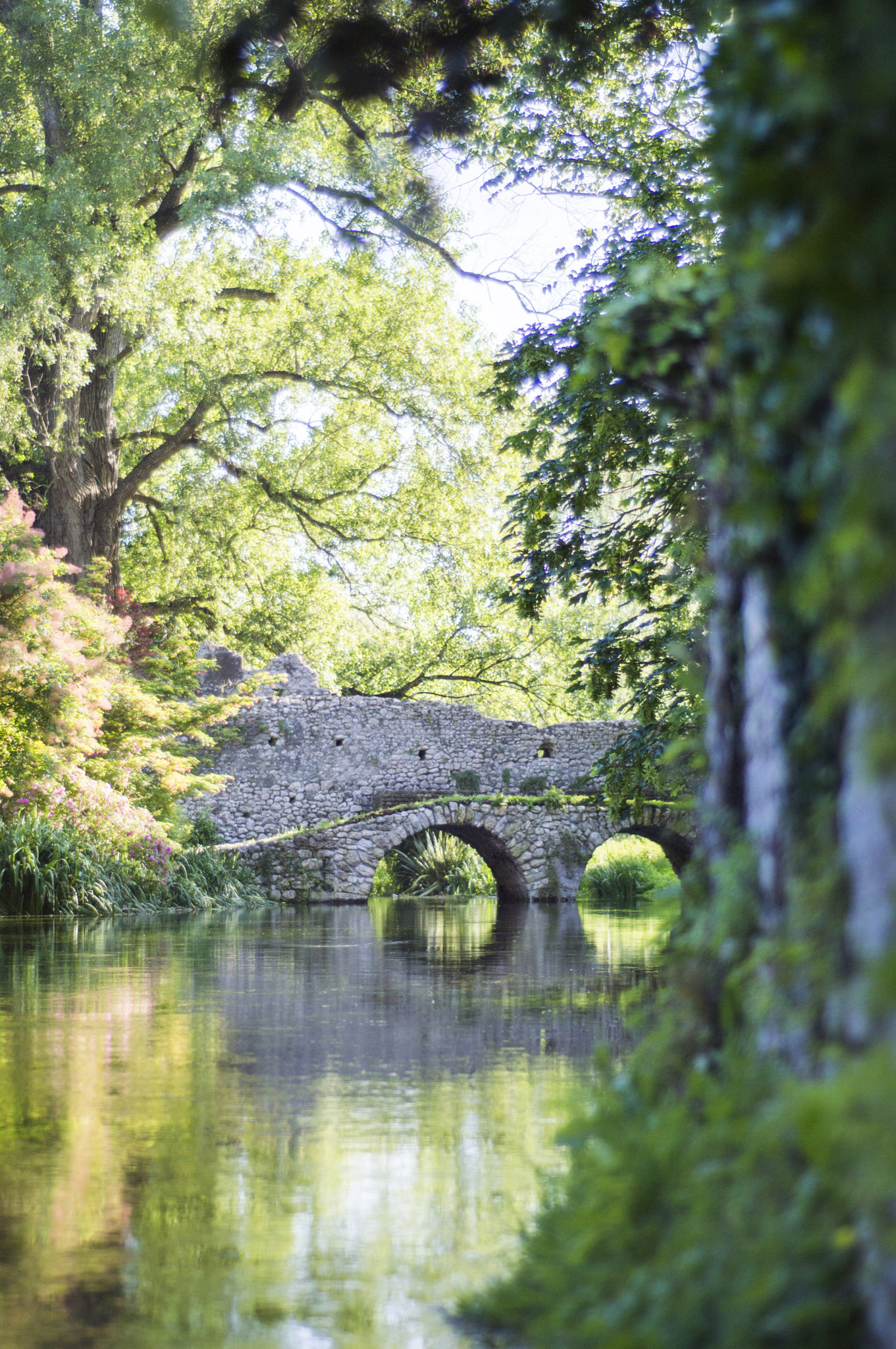 AF Nikkor 50mm f/1.8 sample photo. Giardini di ninfa #3 photography