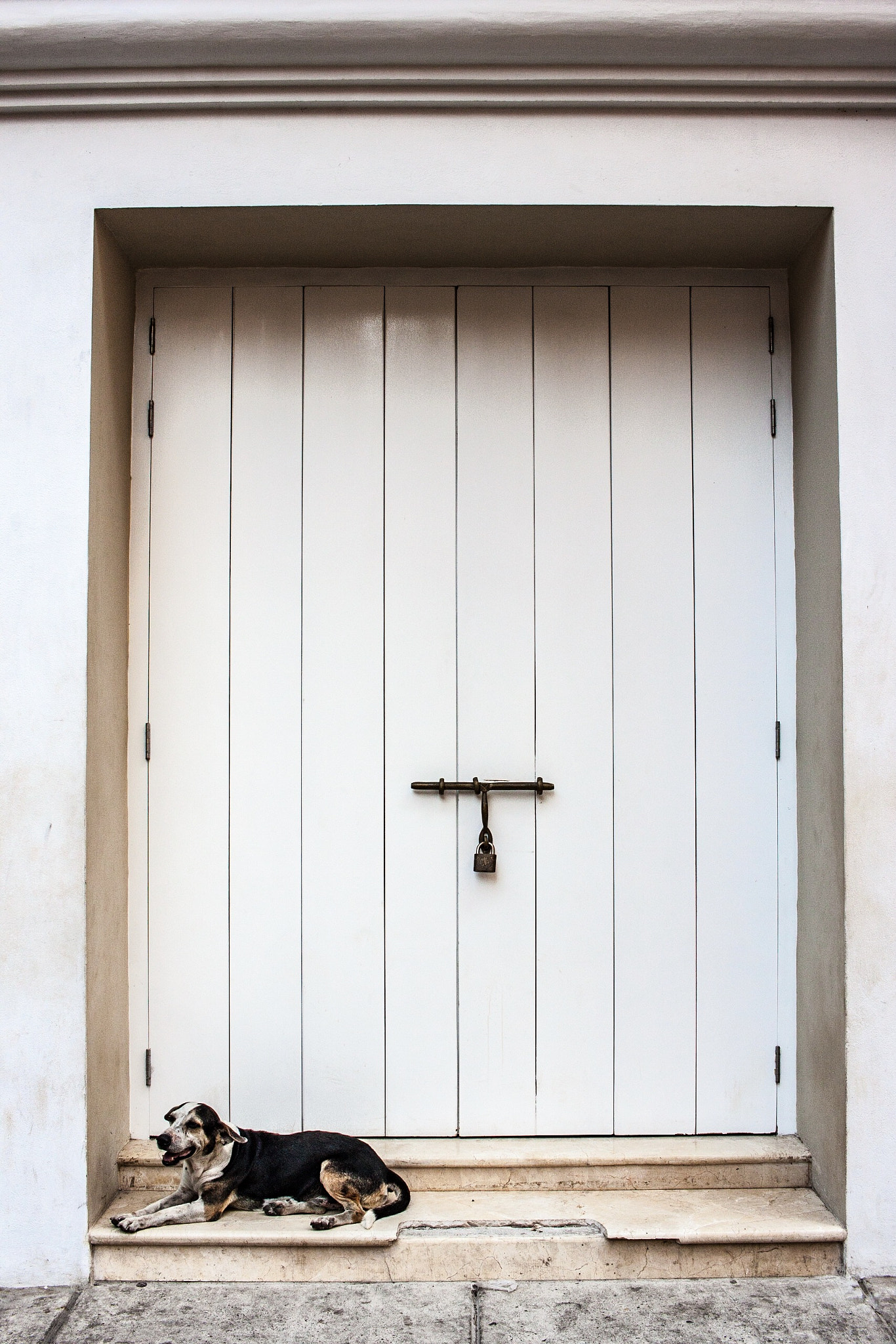 Canon EF-S 24mm F2.8 STM sample photo. Bouncer photography